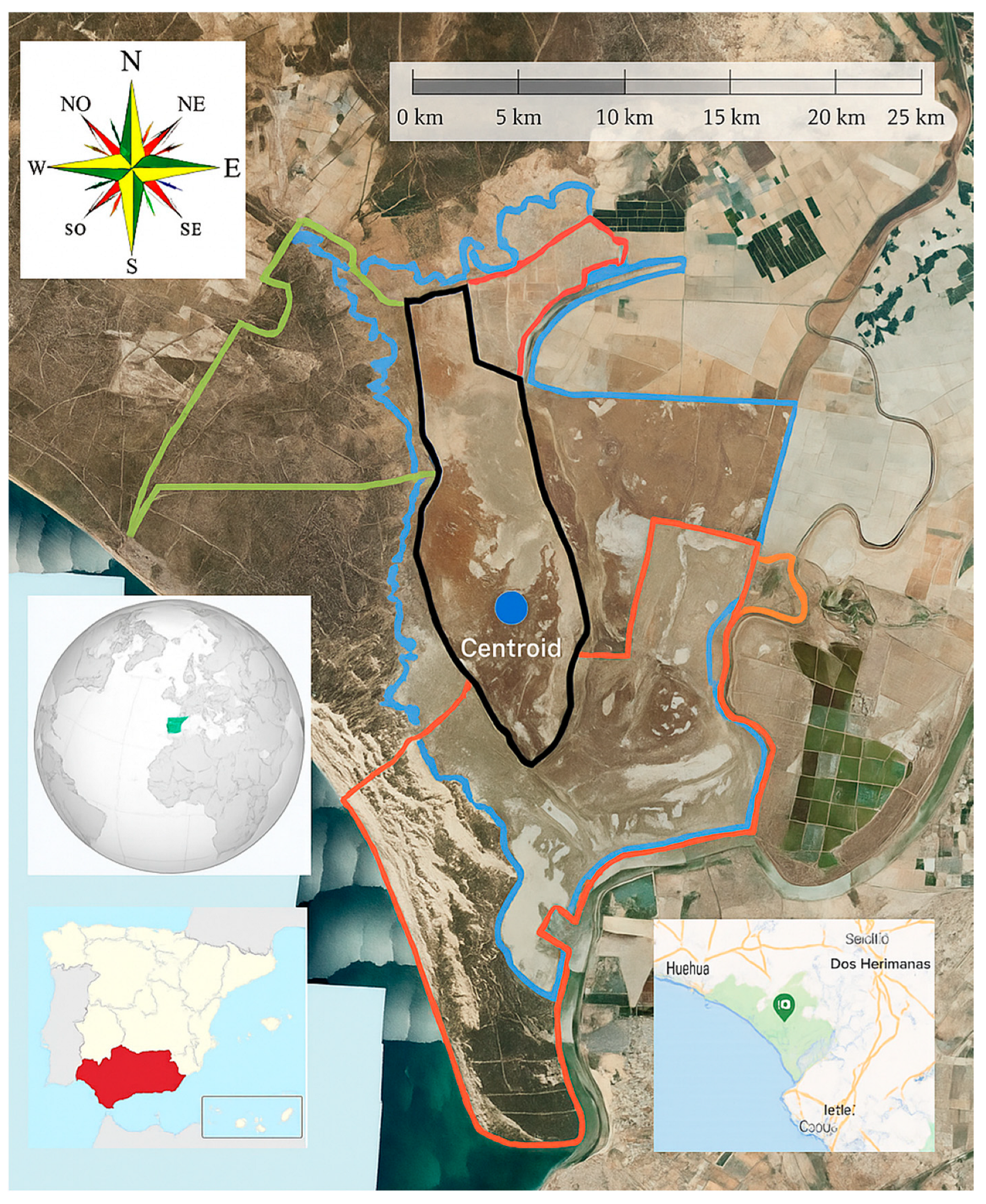 Animals 15 03507 g001