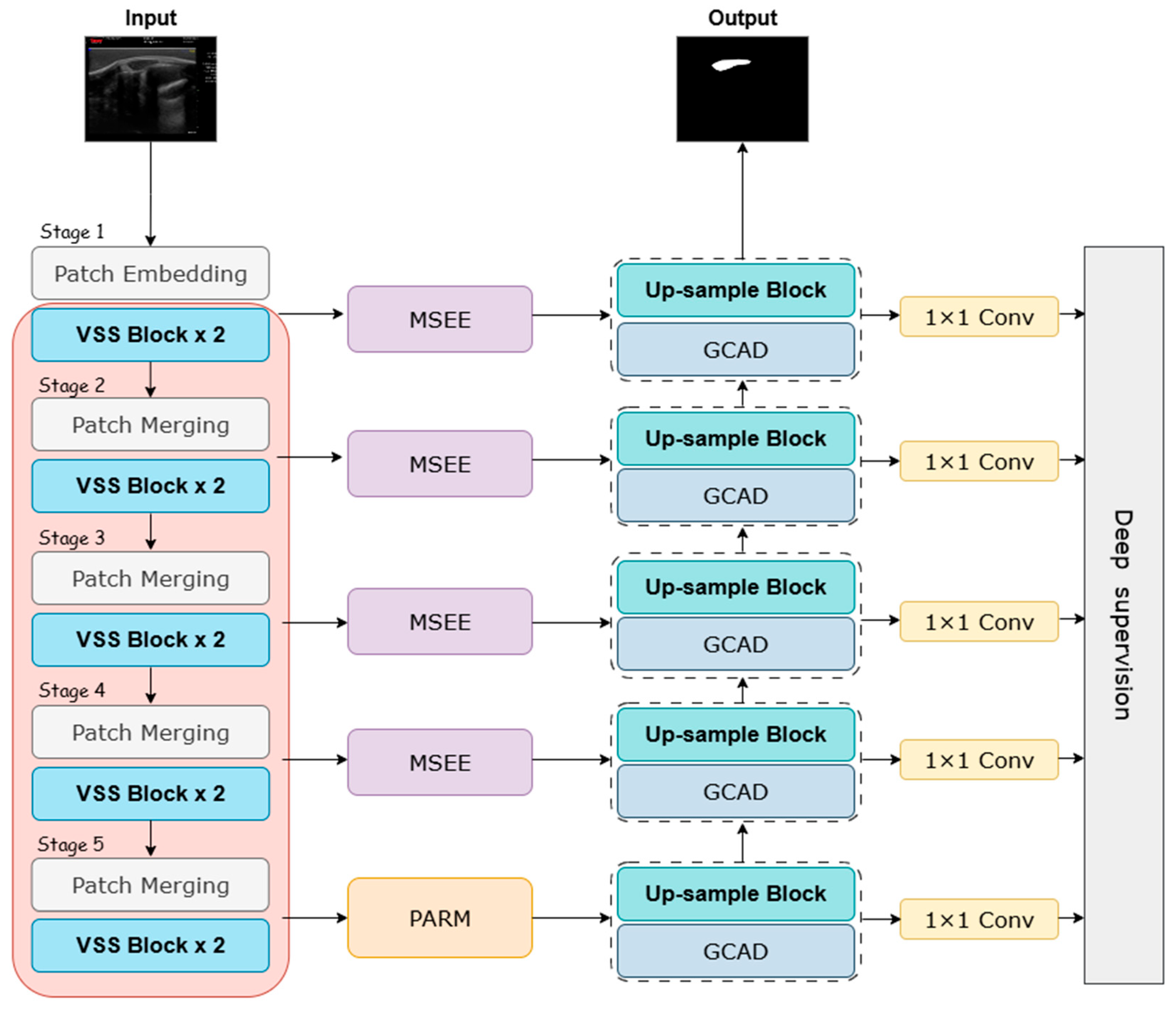 Animals 15 03509 g003