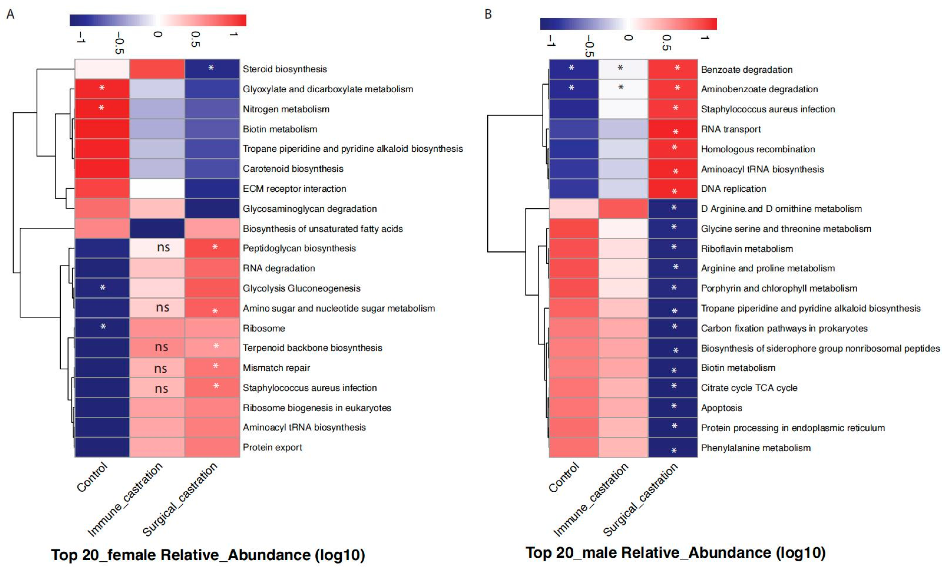 Animals 15 03512 g007