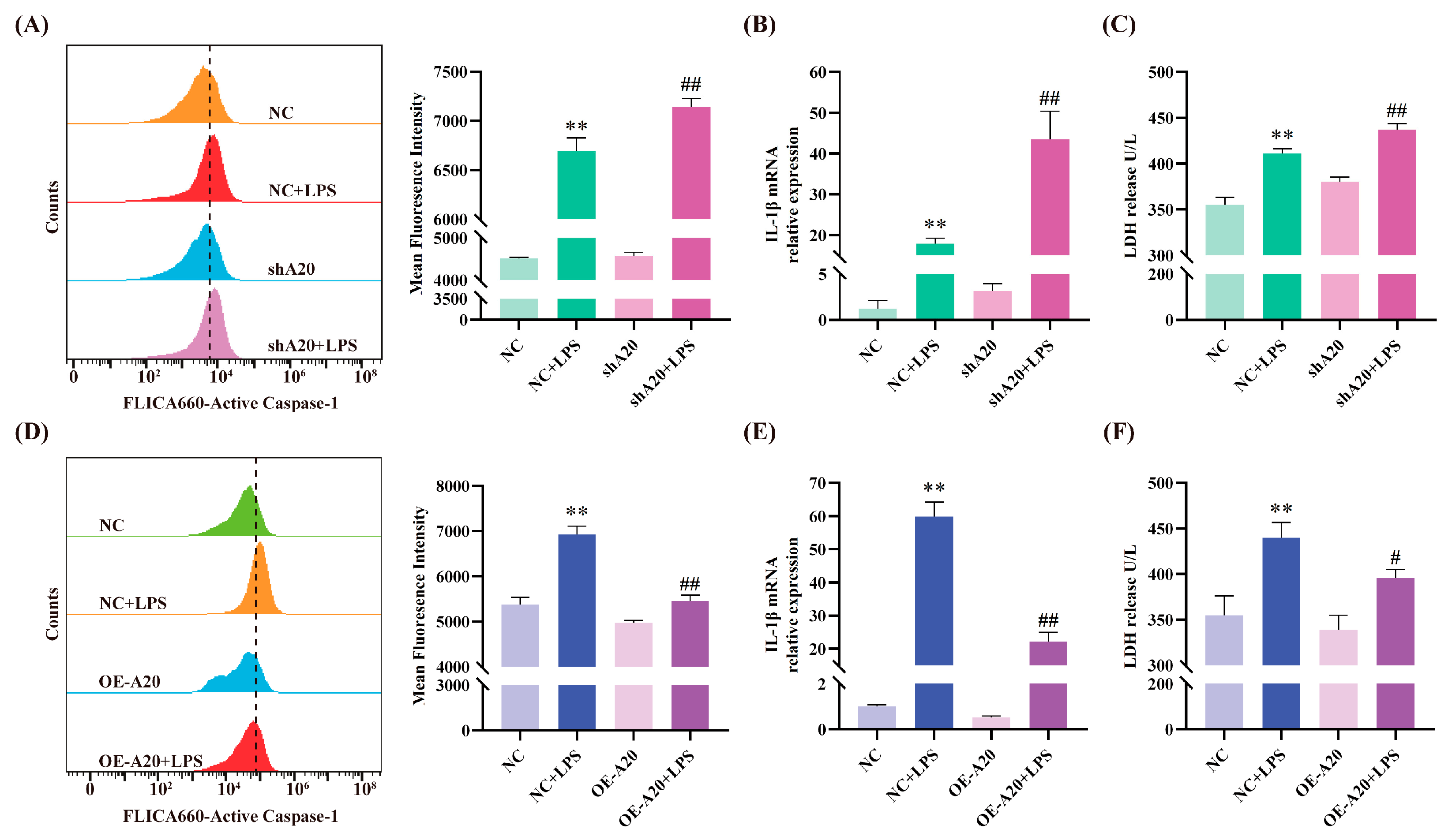 Animals 15 03513 g005