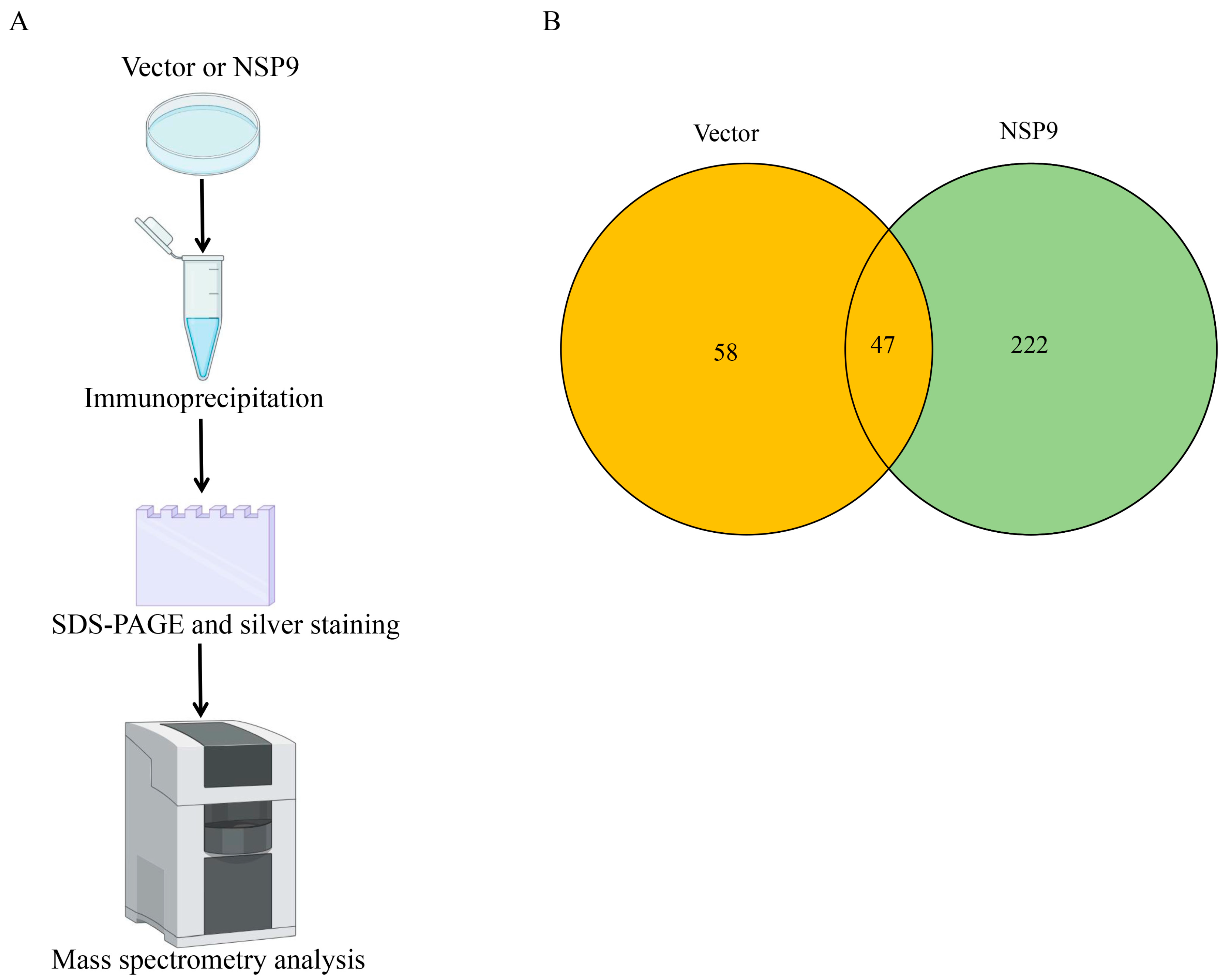 Animals 15 03520 g001