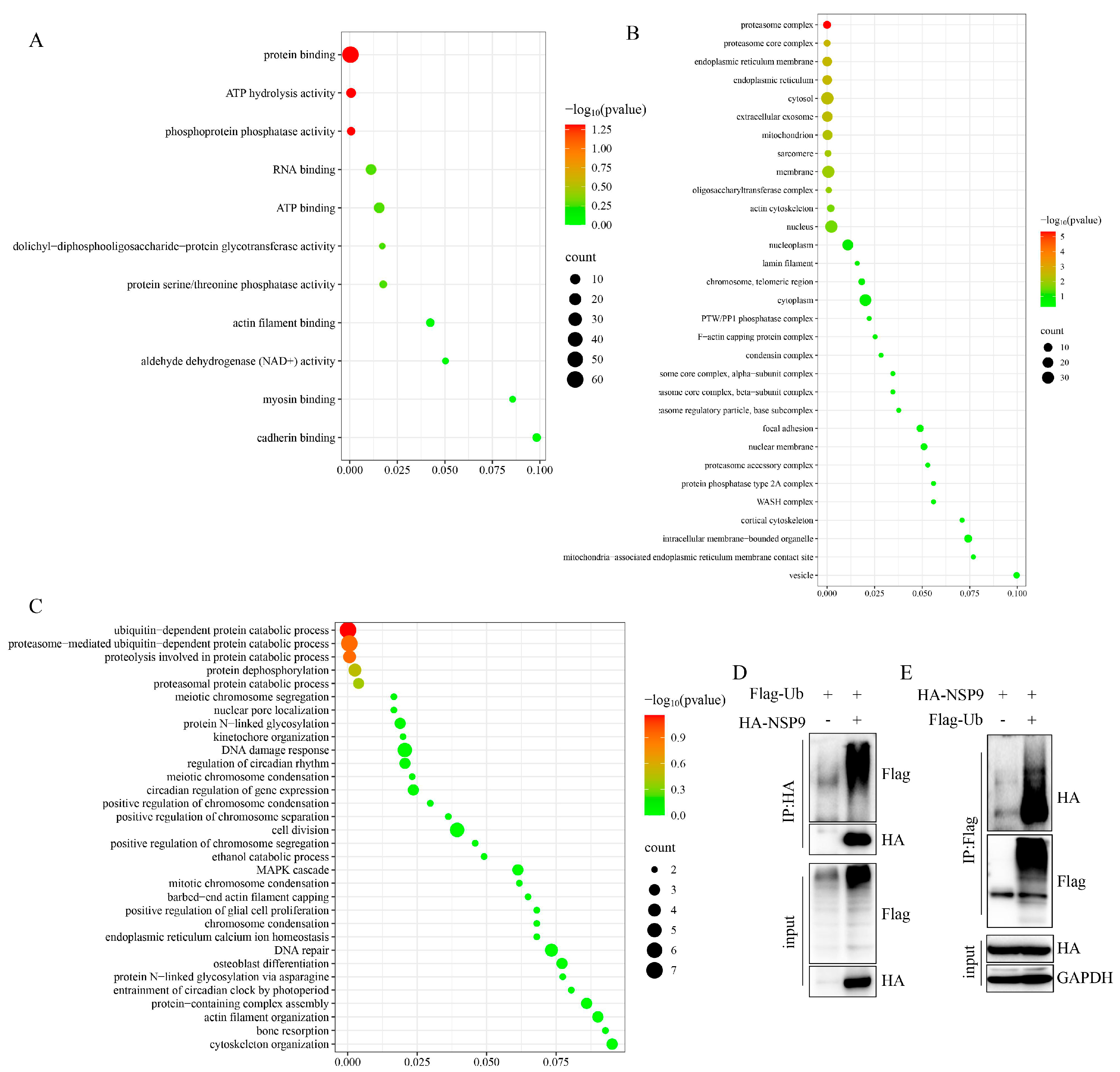 Animals 15 03520 g002