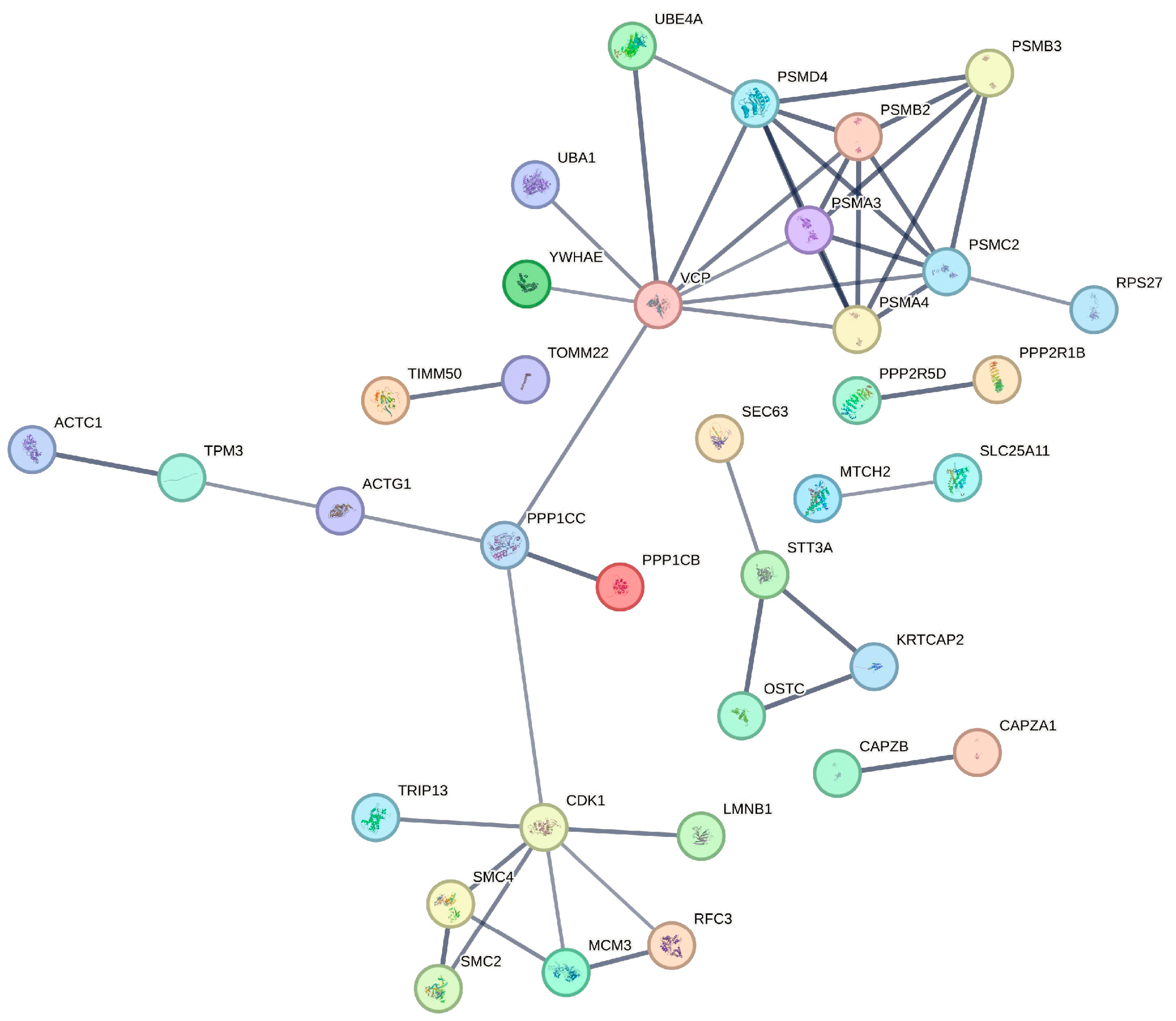 Animals 15 03520 g004