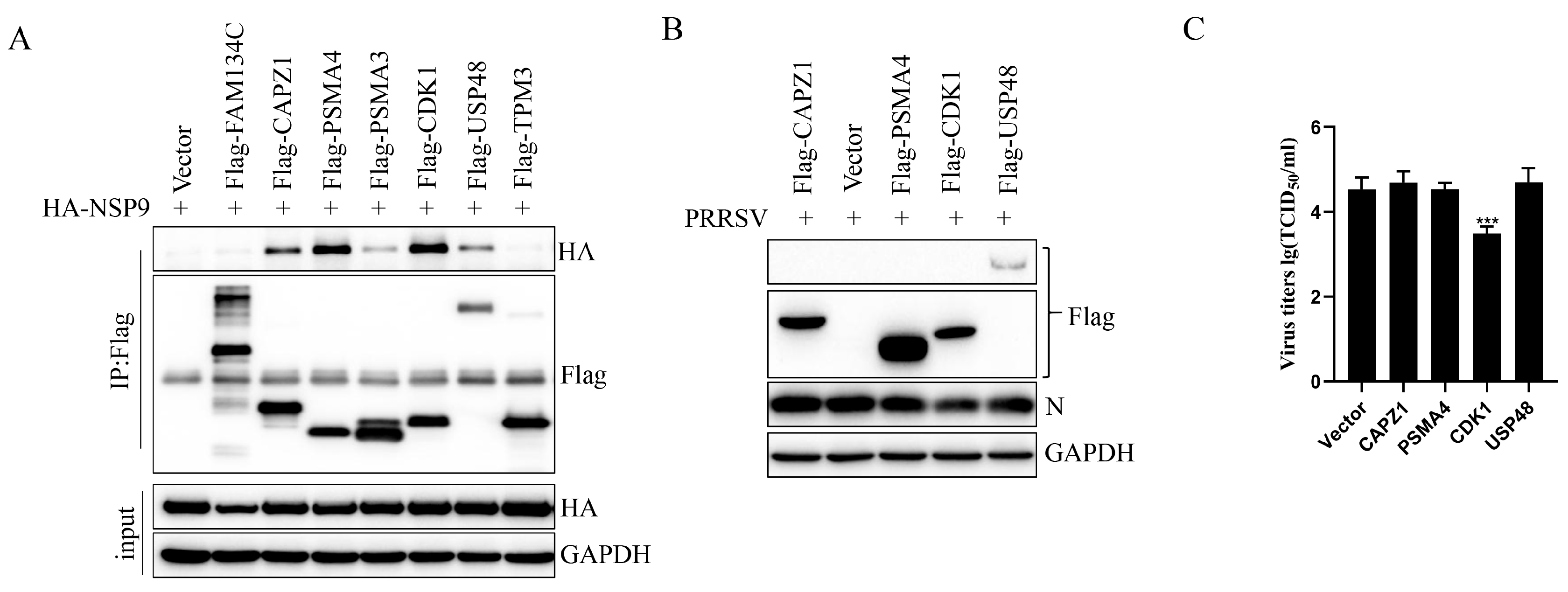 Animals 15 03520 g005