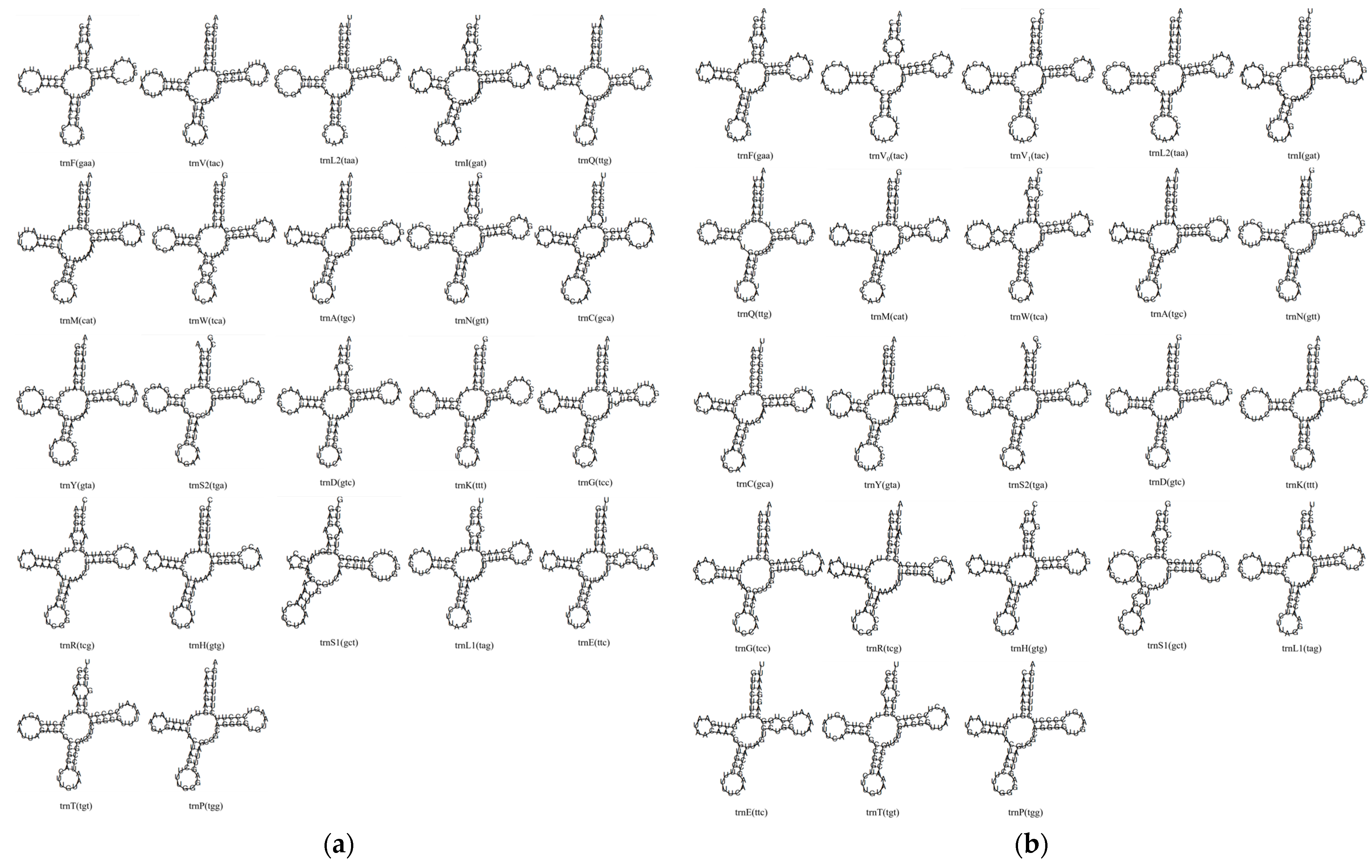 Animals 15 03526 g003 Animals 15 03526 g003