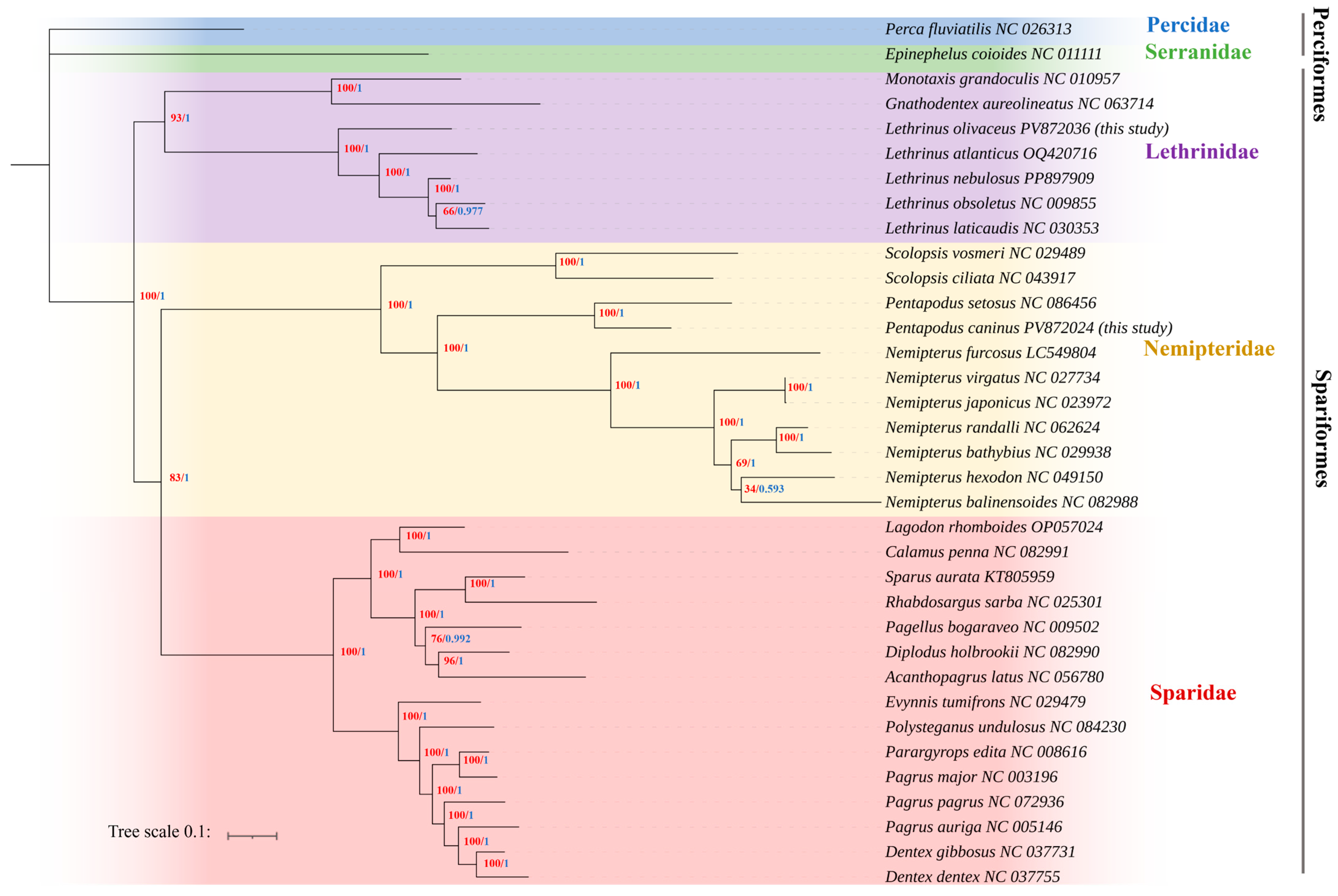 Animals 15 03526 g004 Animals 15 03526 g004