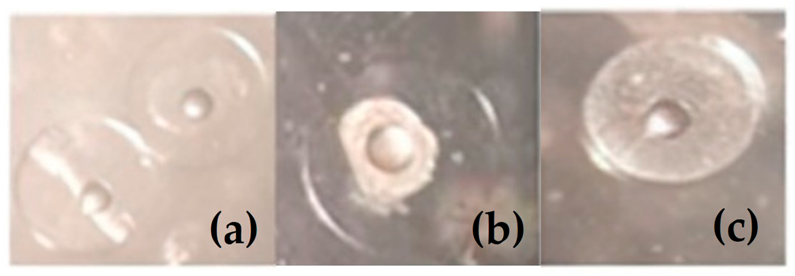 Animals 15 03527 g001