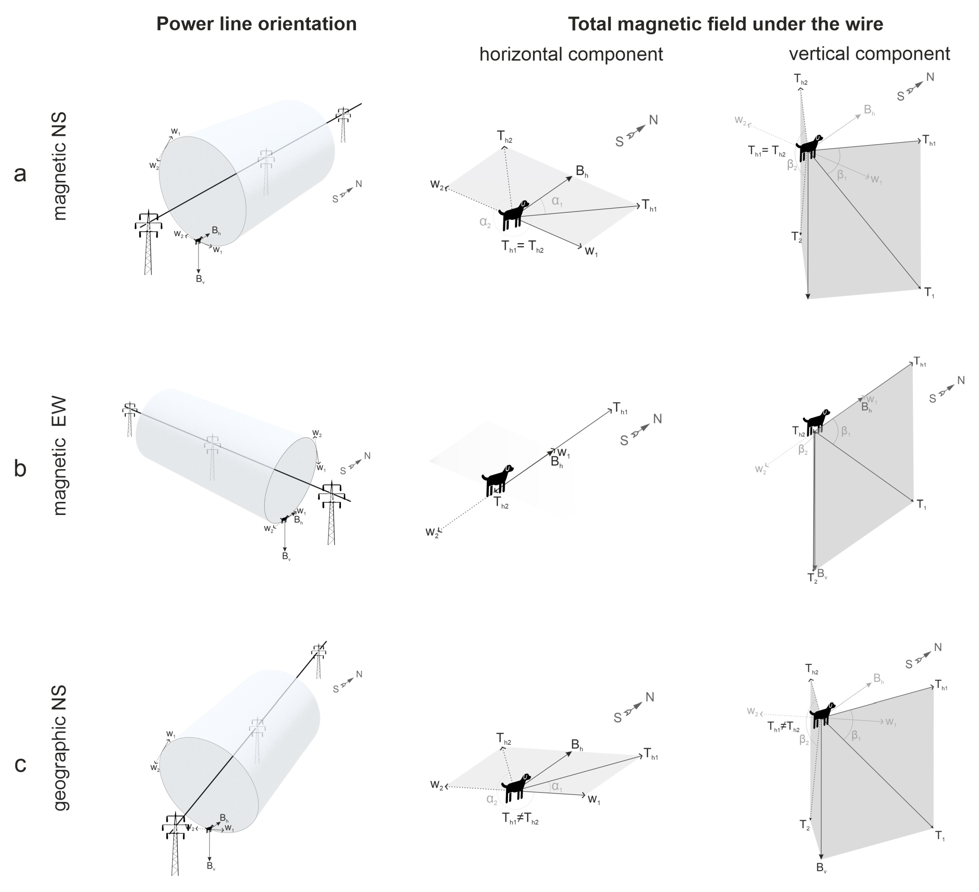 Animals 15 03534 g002 Animals 15 03534 g002
