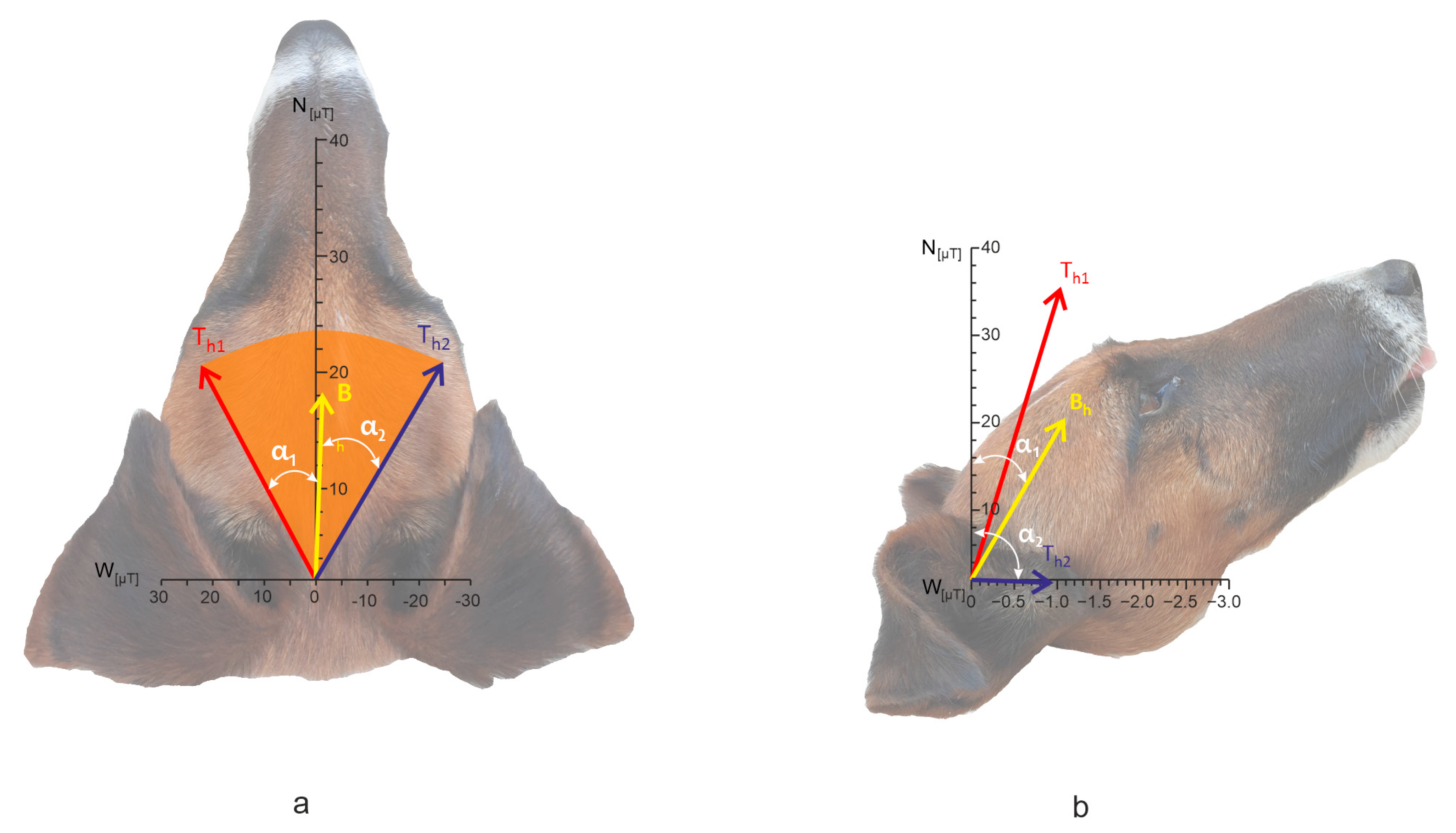 Animals 15 03534 g005 Animals 15 03534 g005
