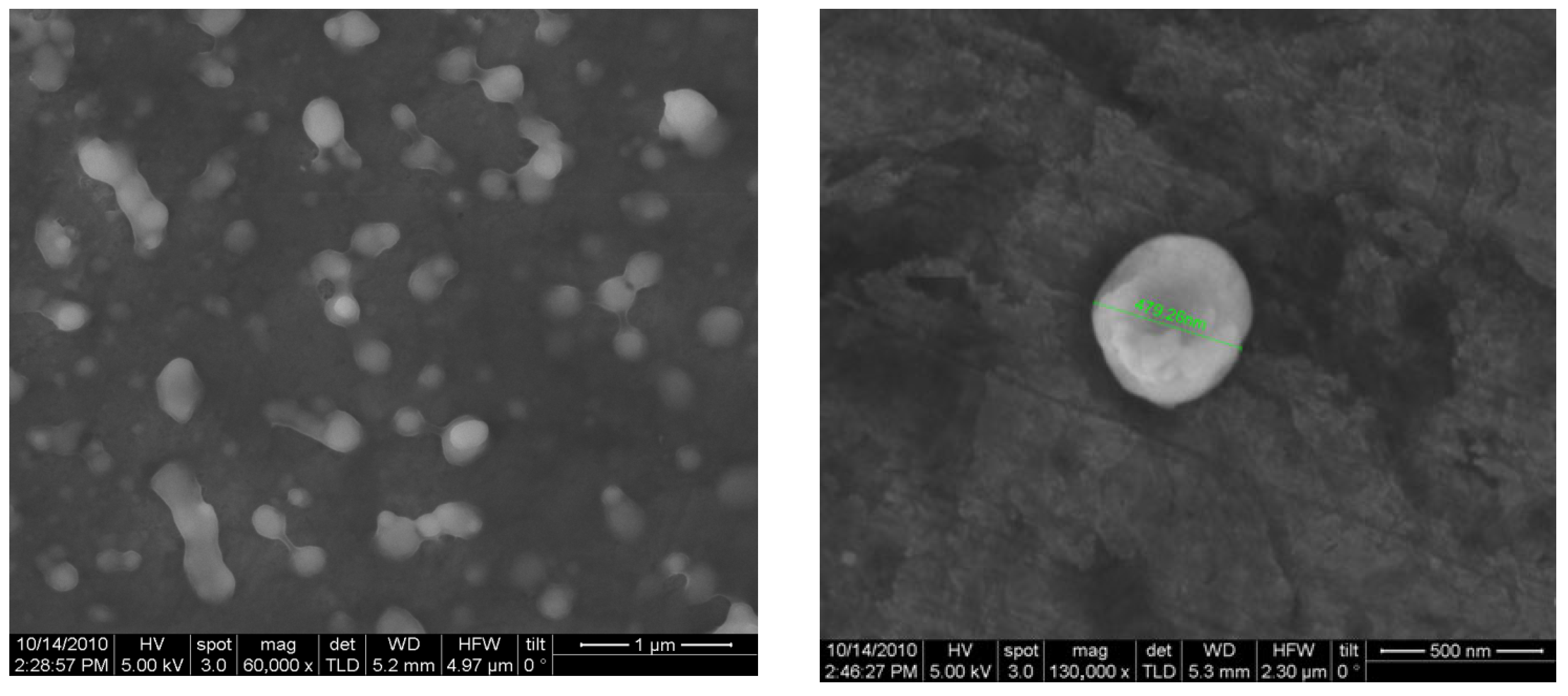 Animals 15 03540 g004 Animals 15 03540 g004