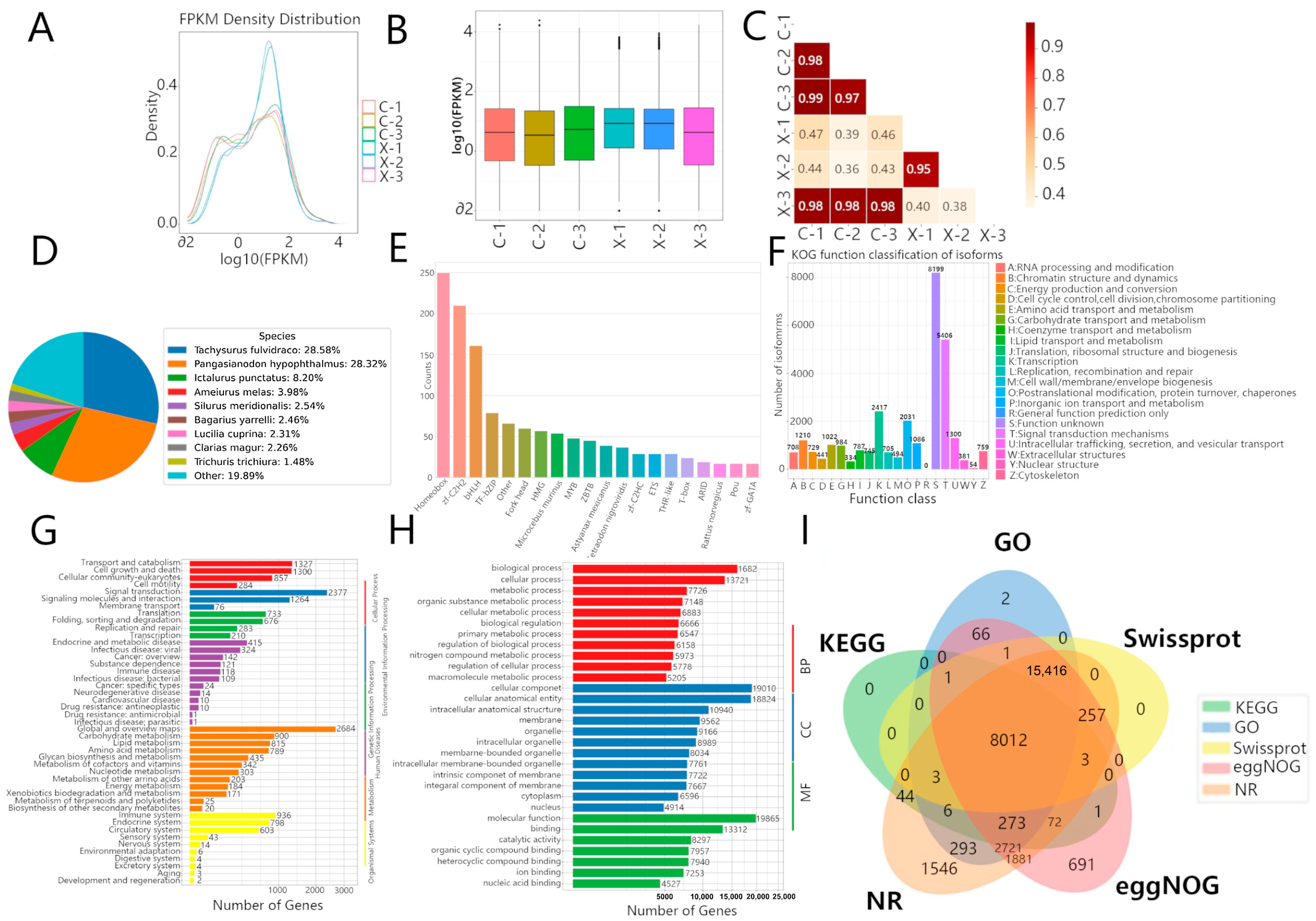 Animals 15 03541 g002