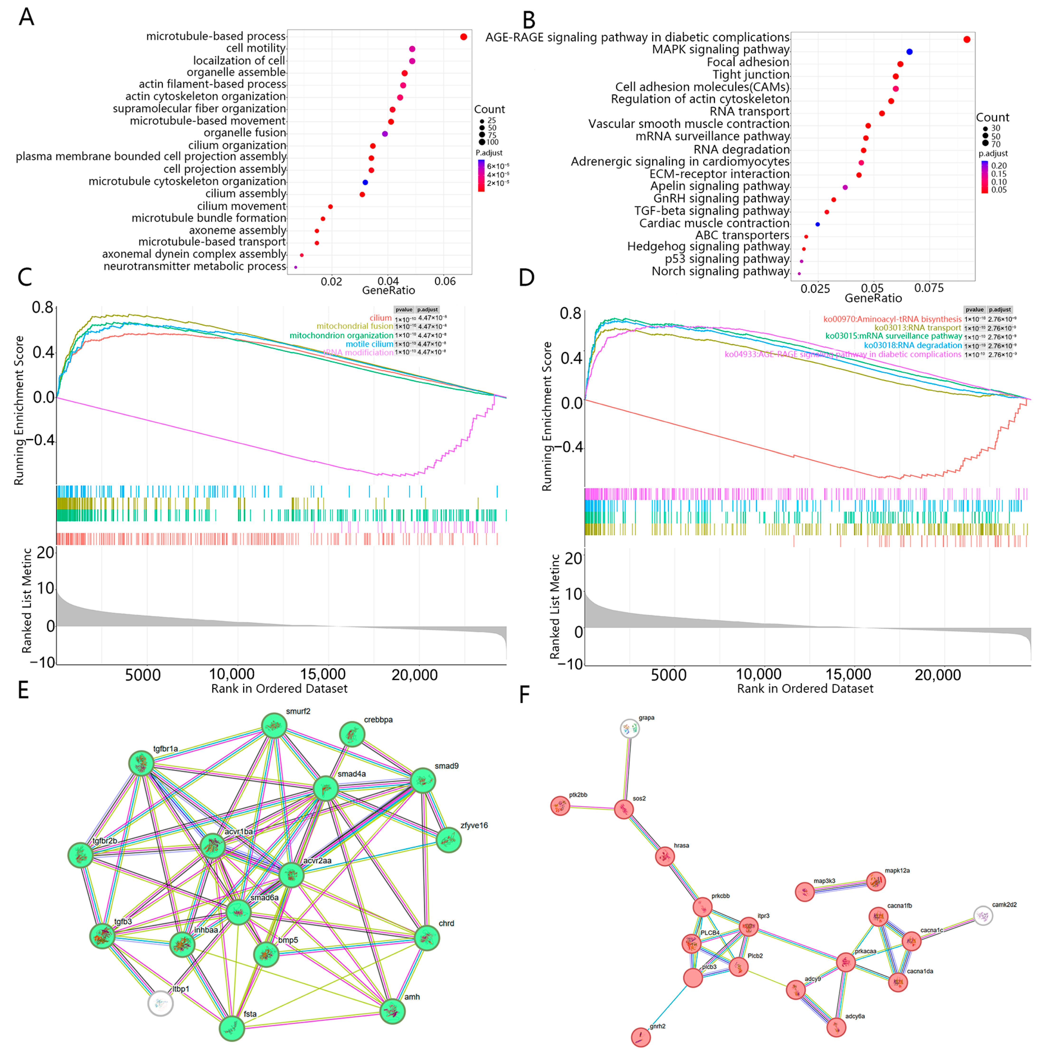 Animals 15 03541 g004