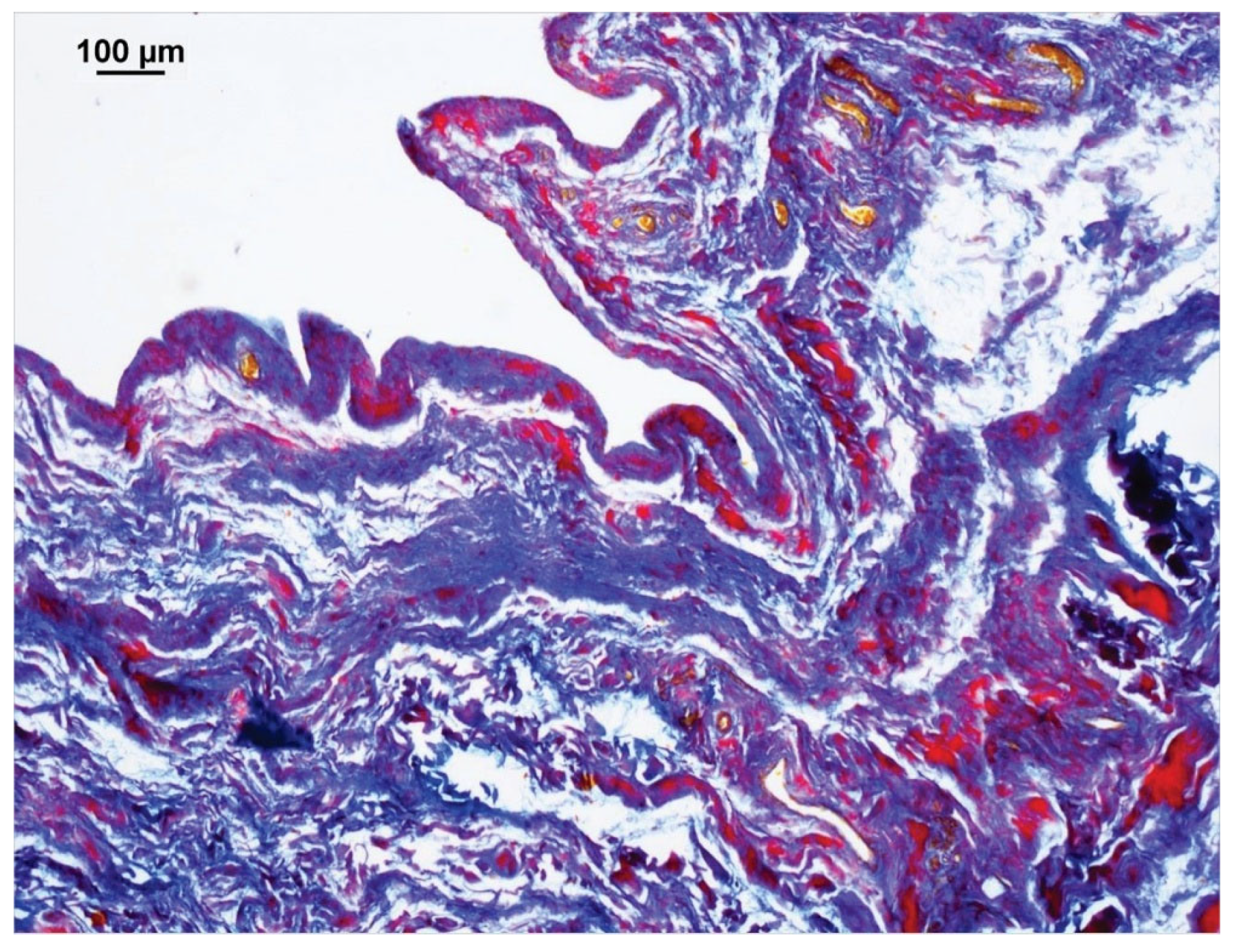 Animals 15 03545 g004