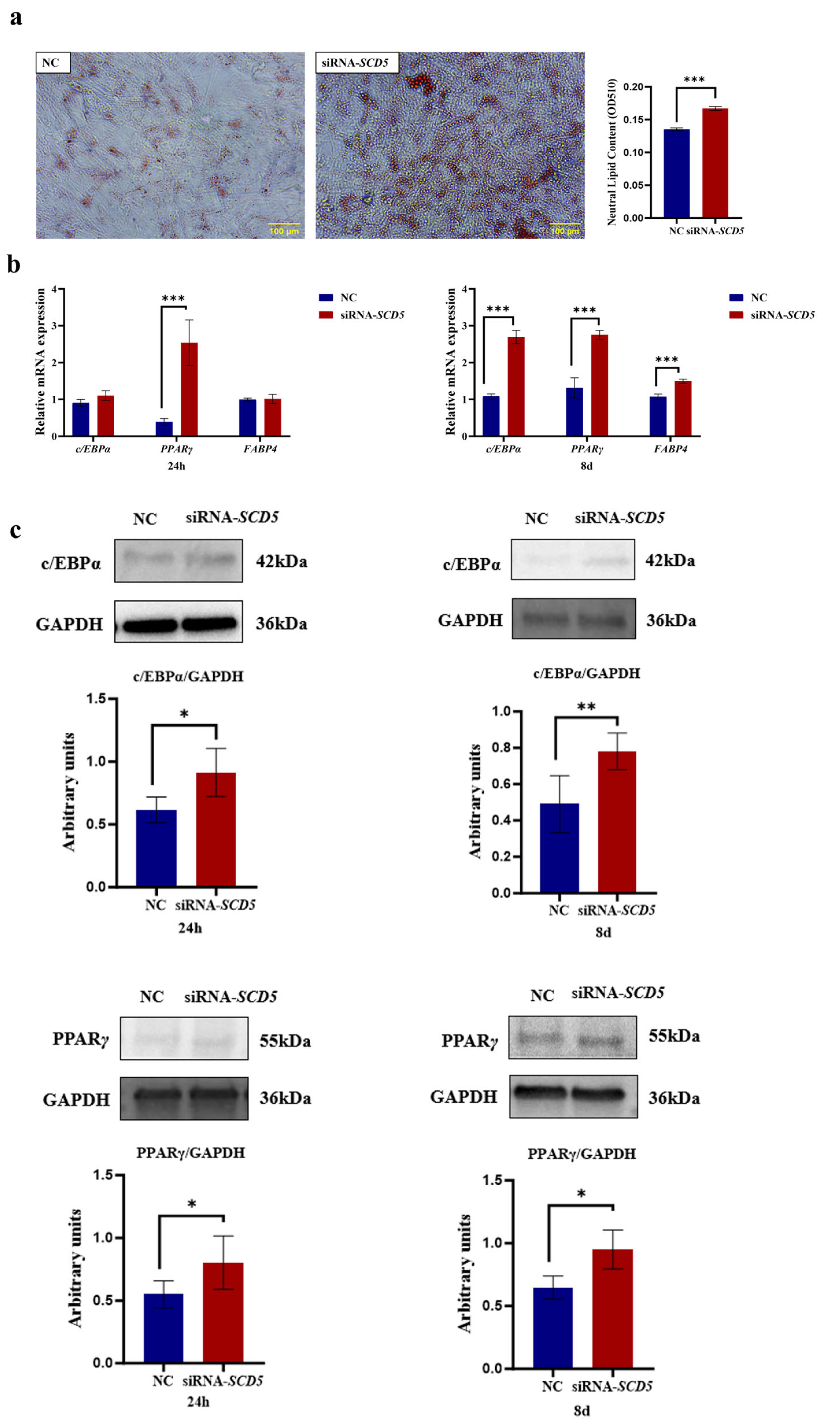 Animals 15 03547 g007 Animals 15 03547 g007