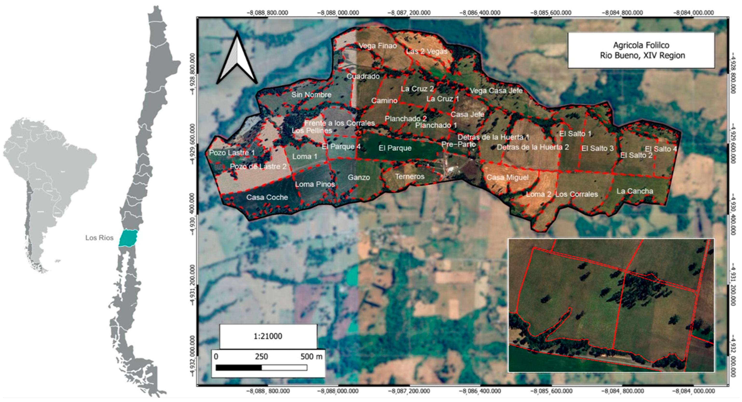 Animals 15 03549 g001 Animals 15 03549 g001