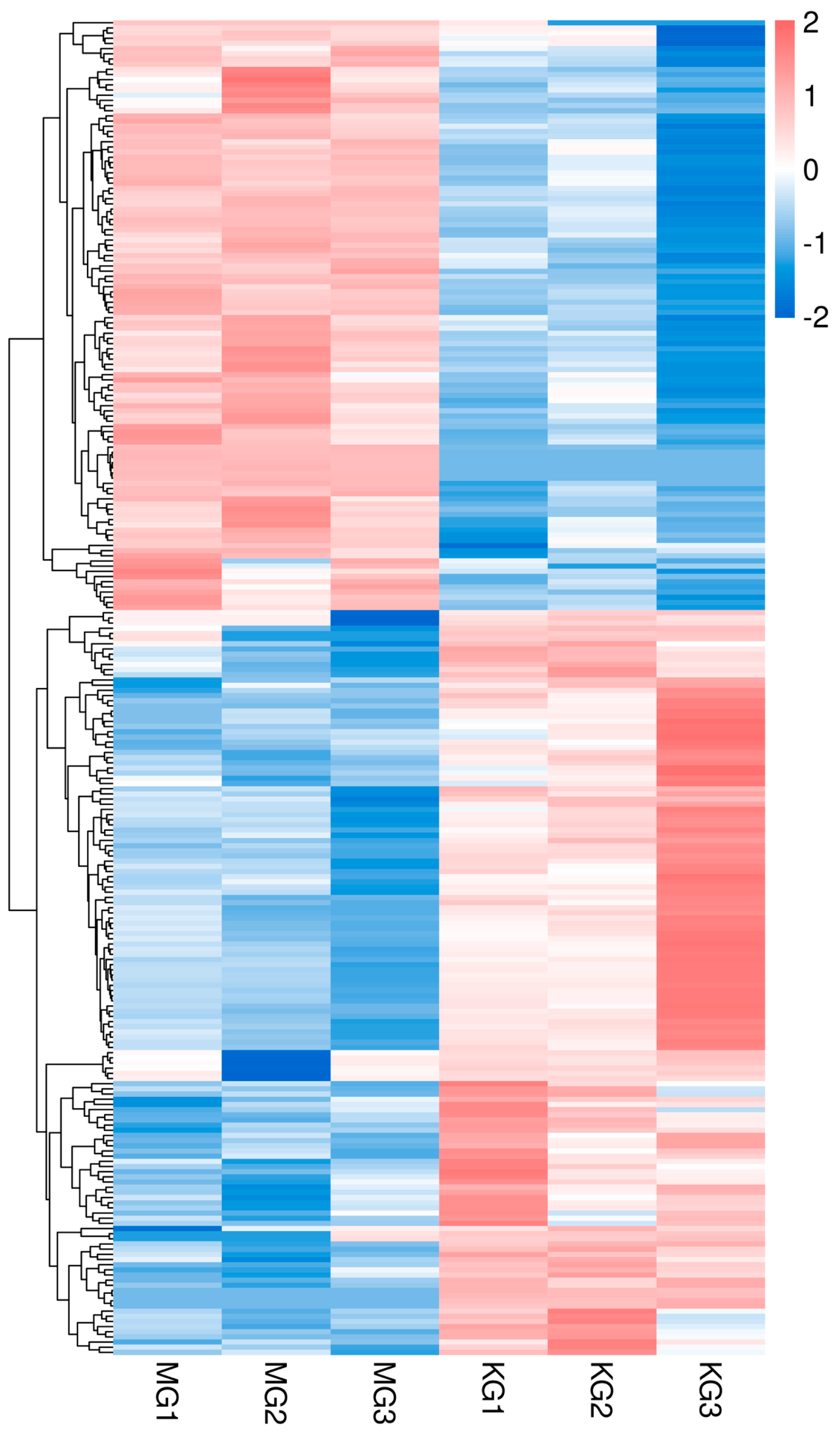 Animals 15 03550 g002 Animals 15 03550 g002