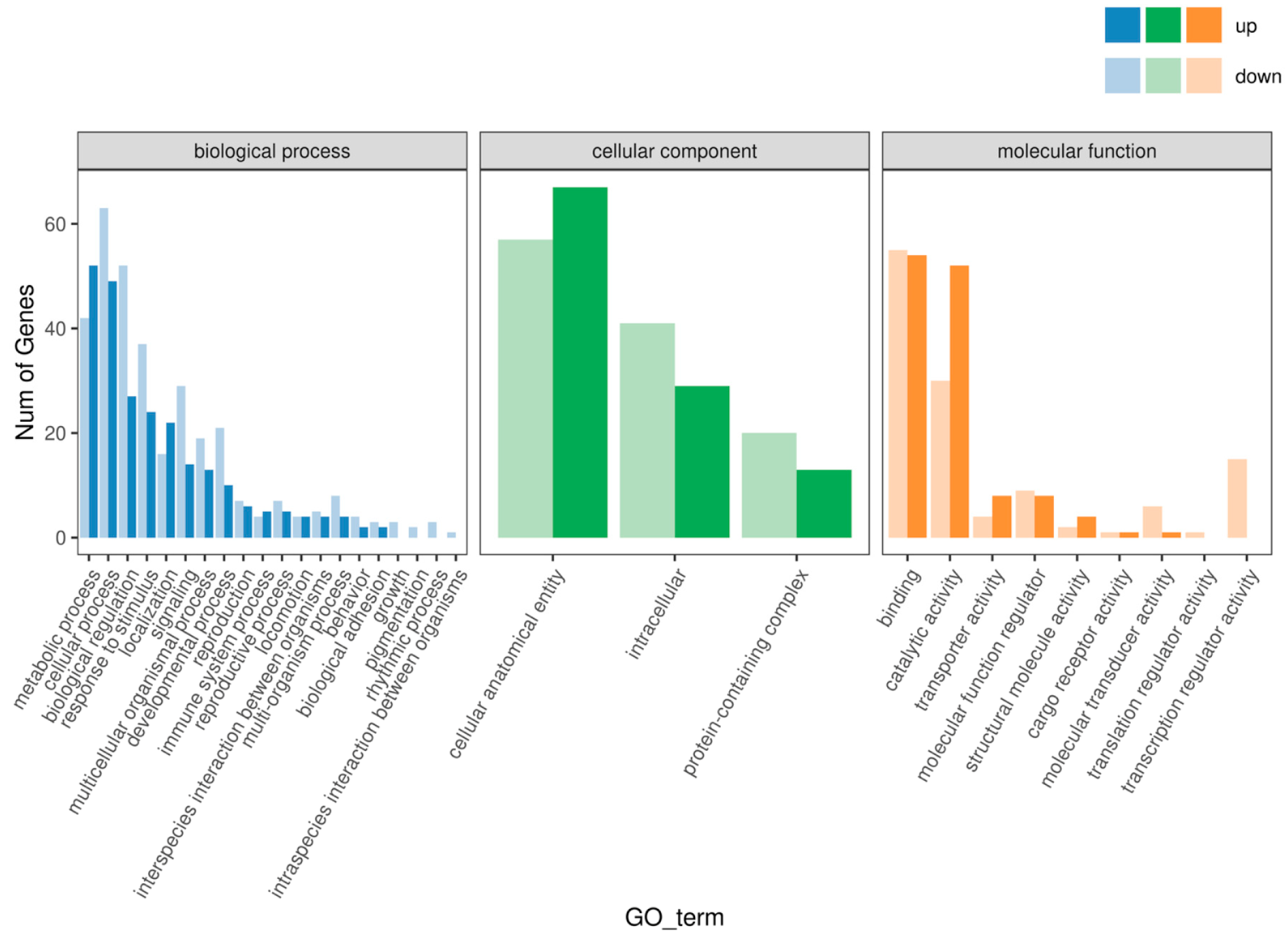 Animals 15 03550 g003 Animals 15 03550 g003