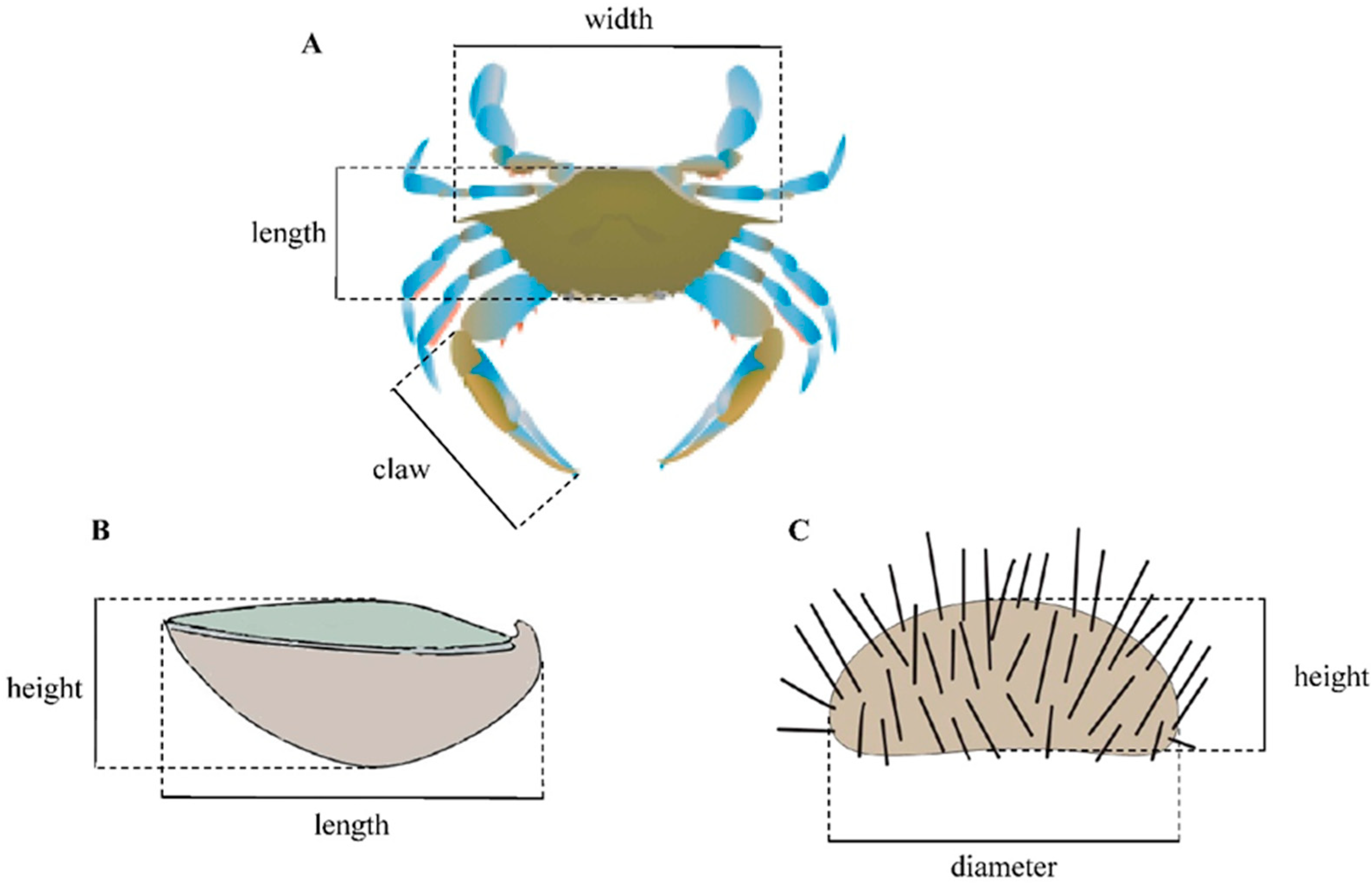Animals 15 03553 g002 Animals 15 03553 g002