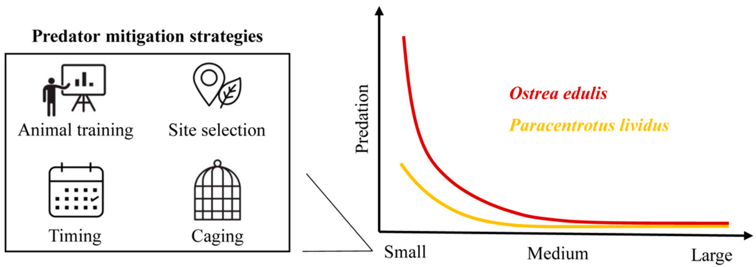 Animals 15 03553 g007 Animals 15 03553 g007