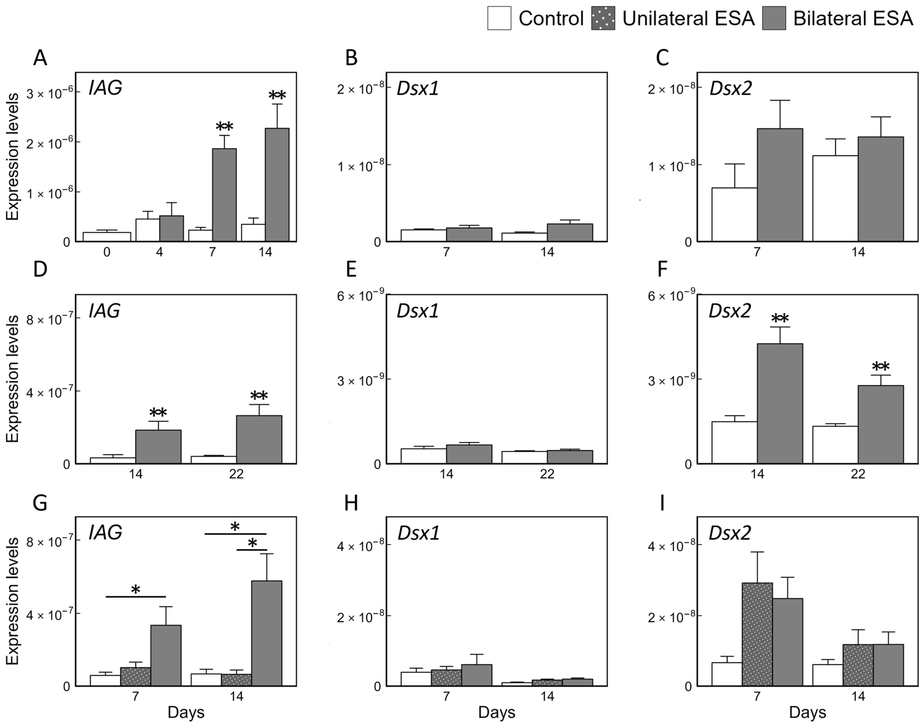 Animals 15 03556 g002 Animals 15 03556 g002