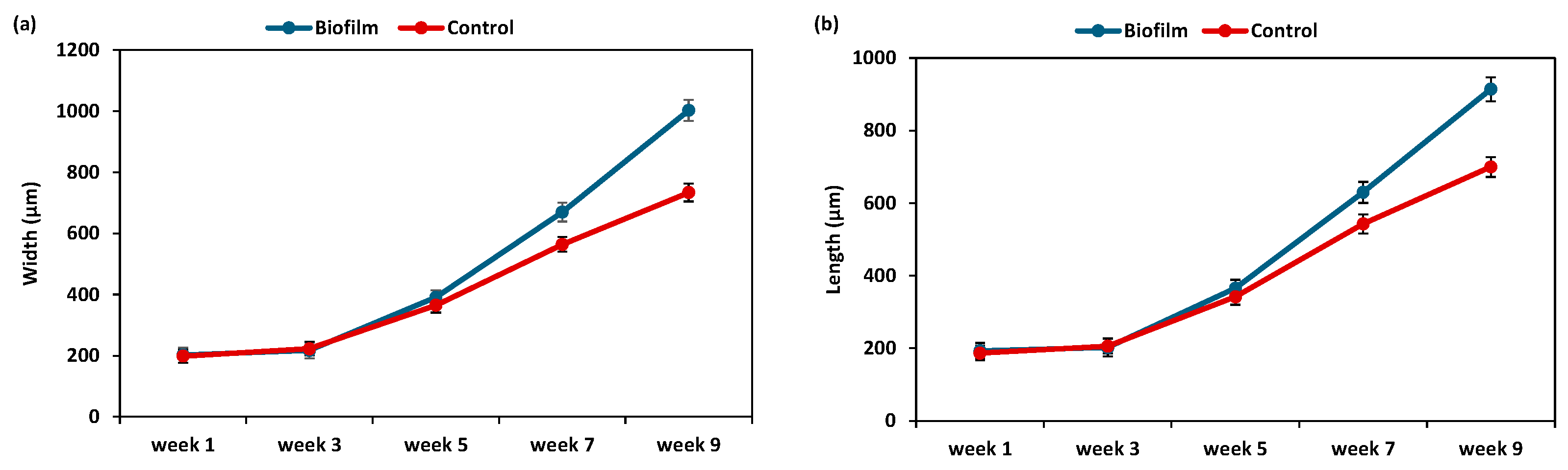 Animals 15 03557 g003