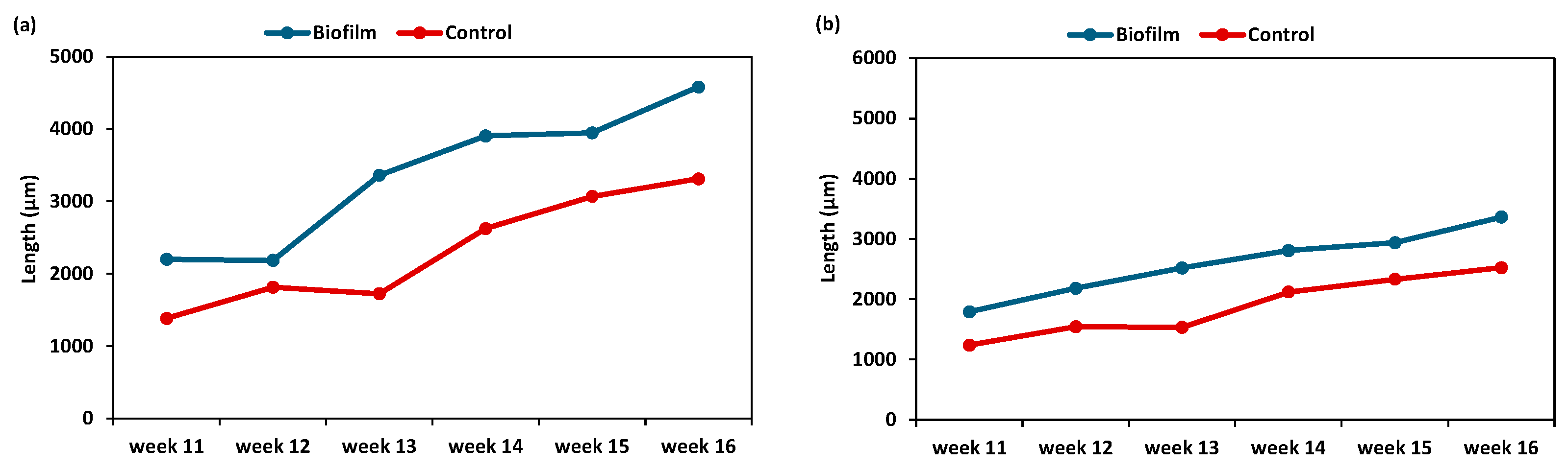 Animals 15 03557 g004