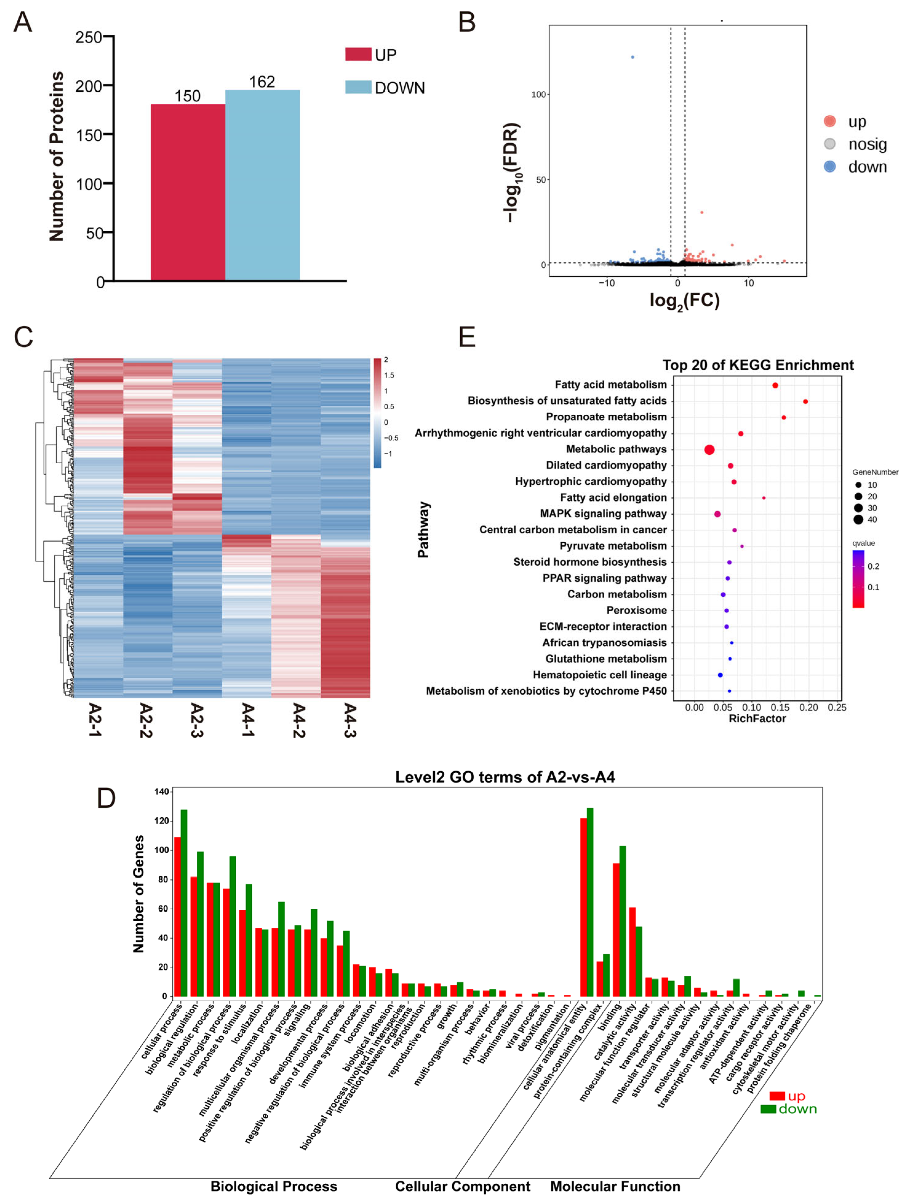 Animals 15 03558 g002 Animals 15 03558 g002