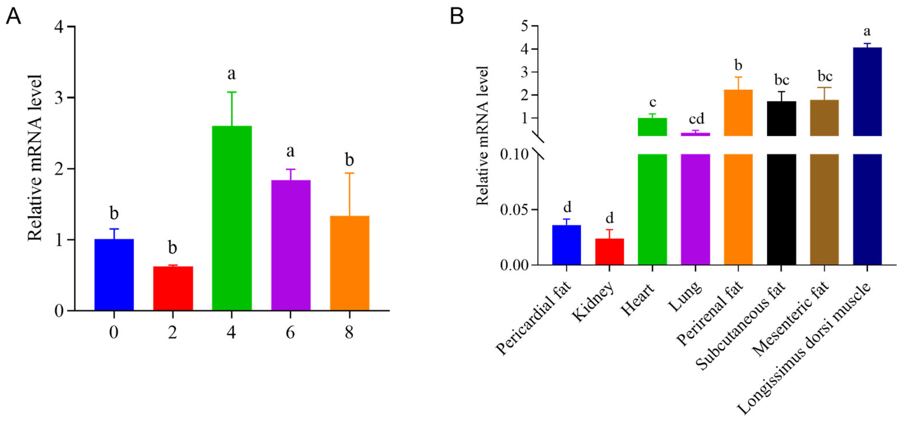 Animals 15 03558 g006 Animals 15 03558 g006