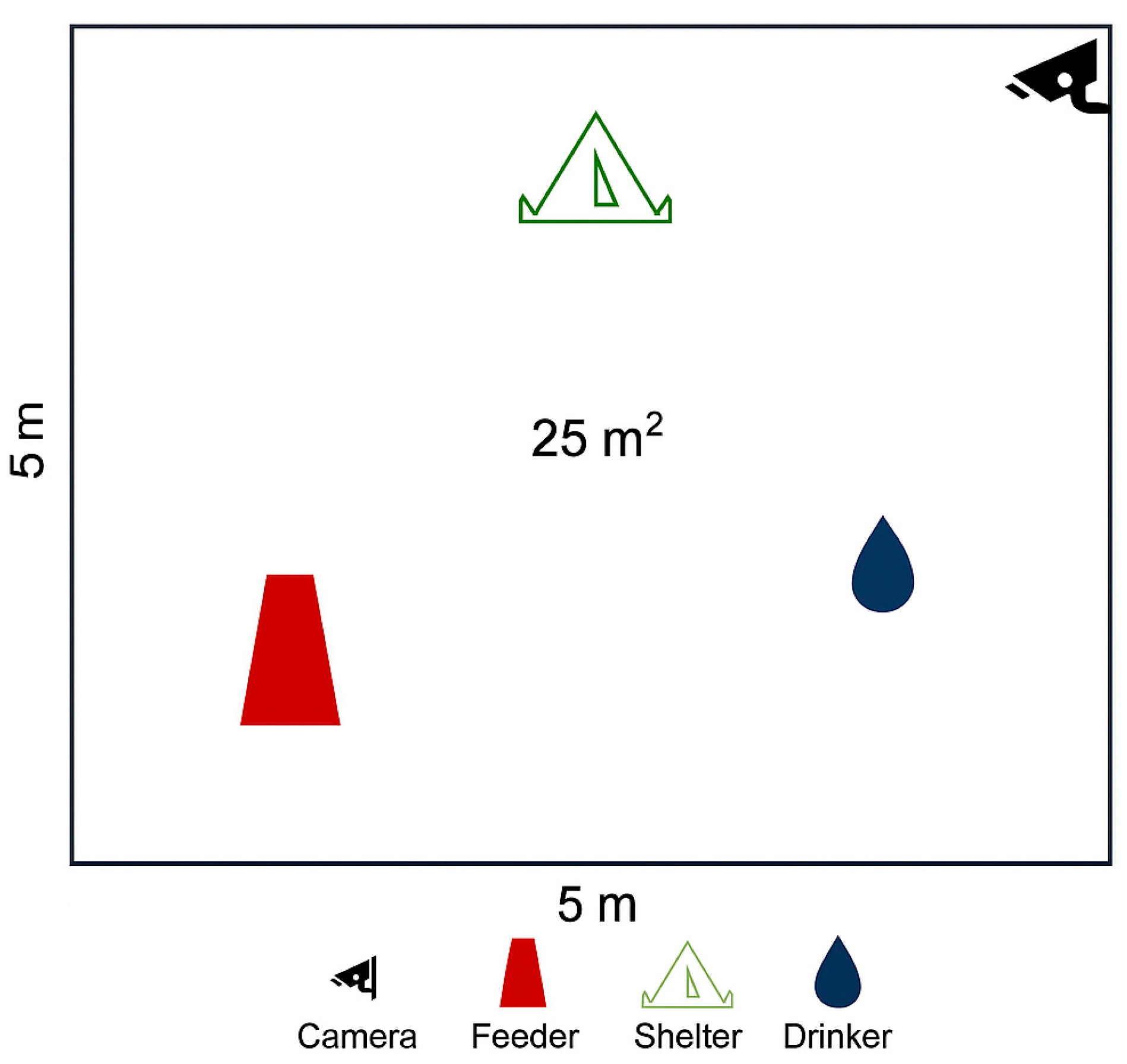 Animals 15 03562 g001