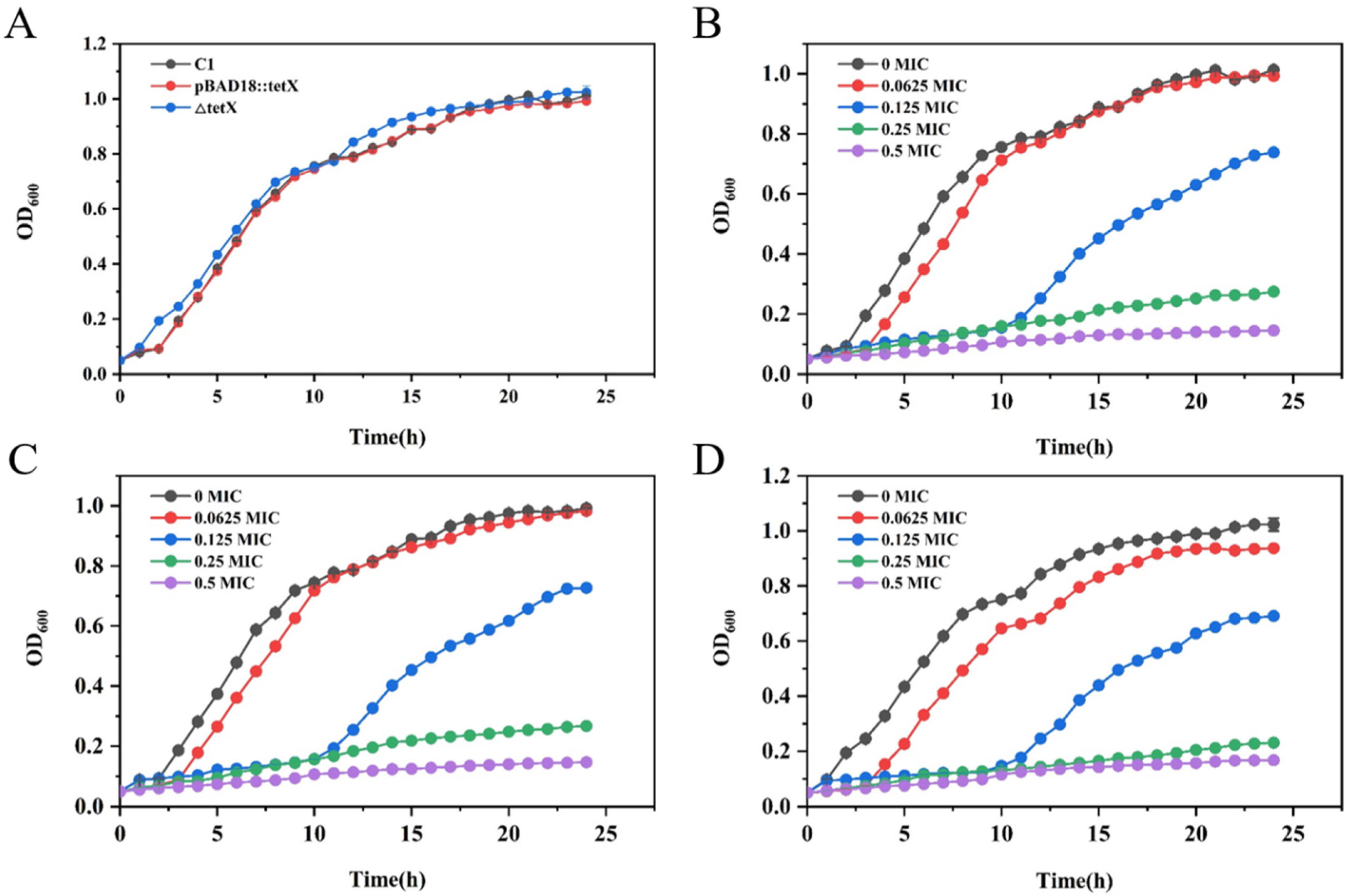 Animals 15 03564 g002