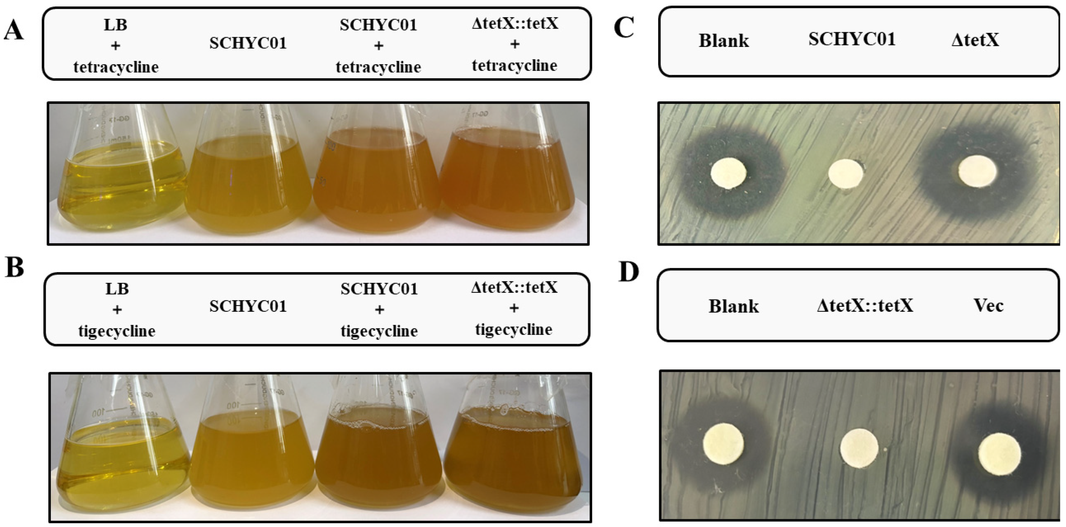 Animals 15 03564 g003