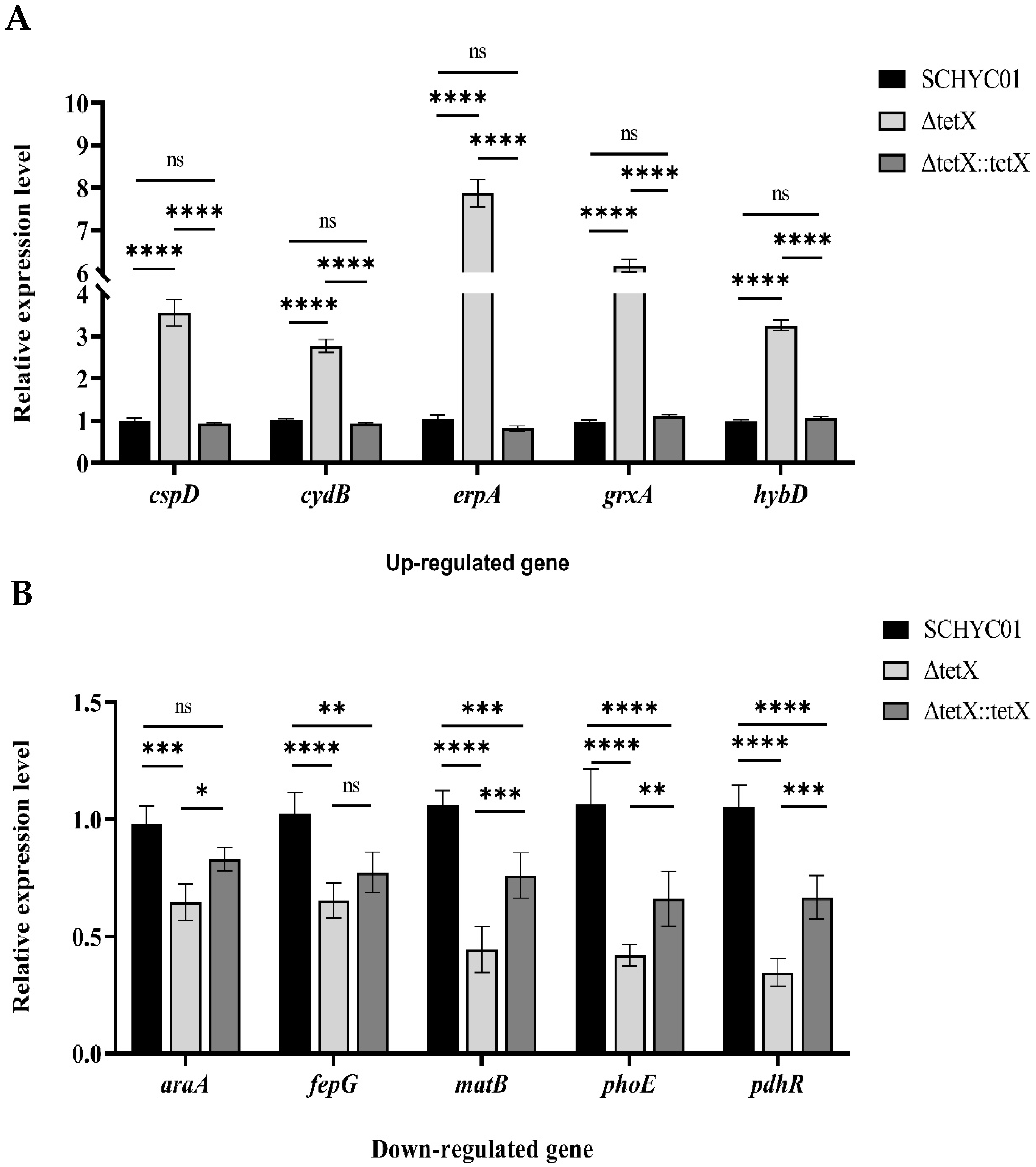 Animals 15 03564 g006