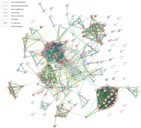 Transcriptomic Analysis of the Impact of the tet(X4) Gene on the