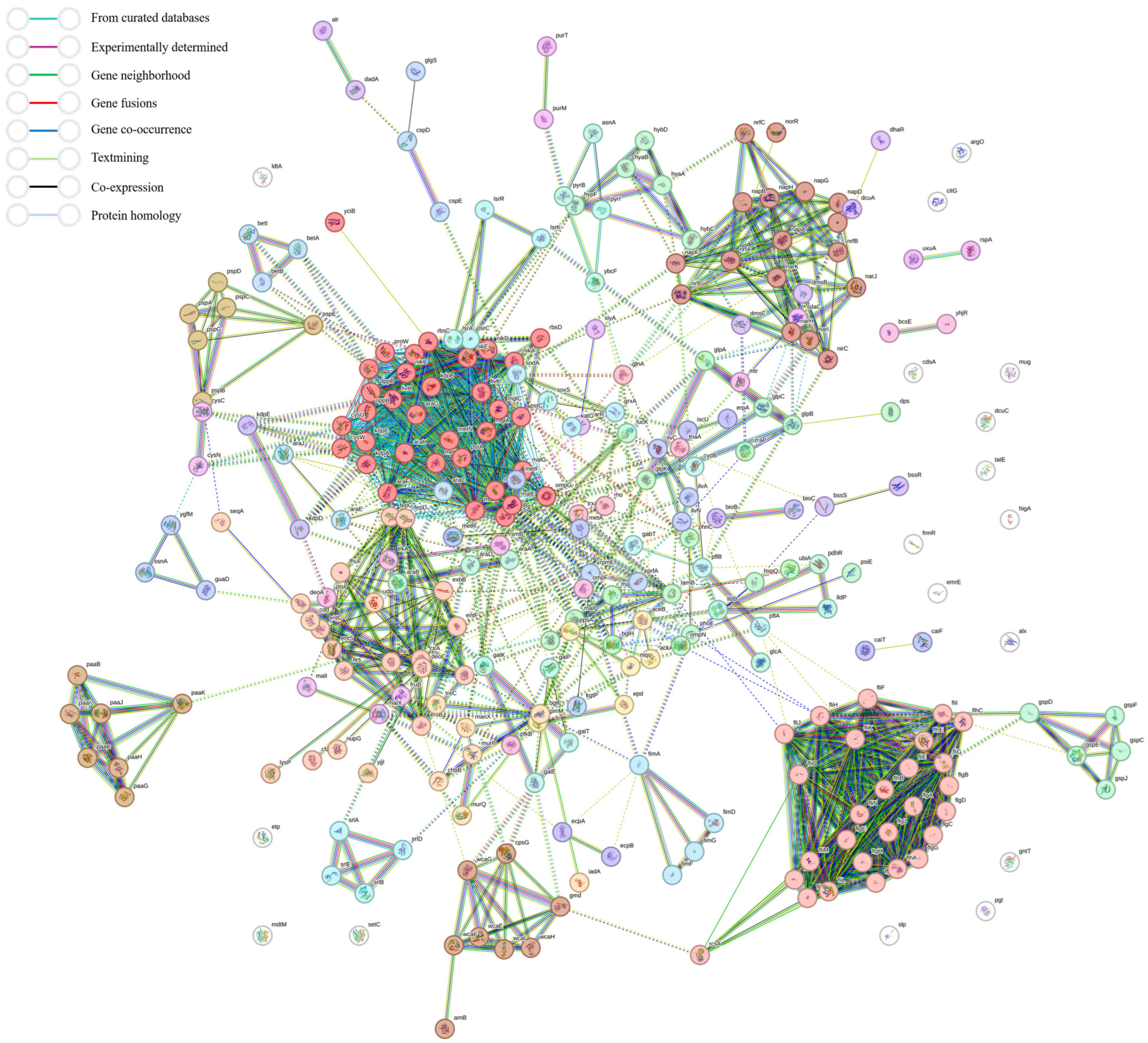 Animals 15 03564 g007