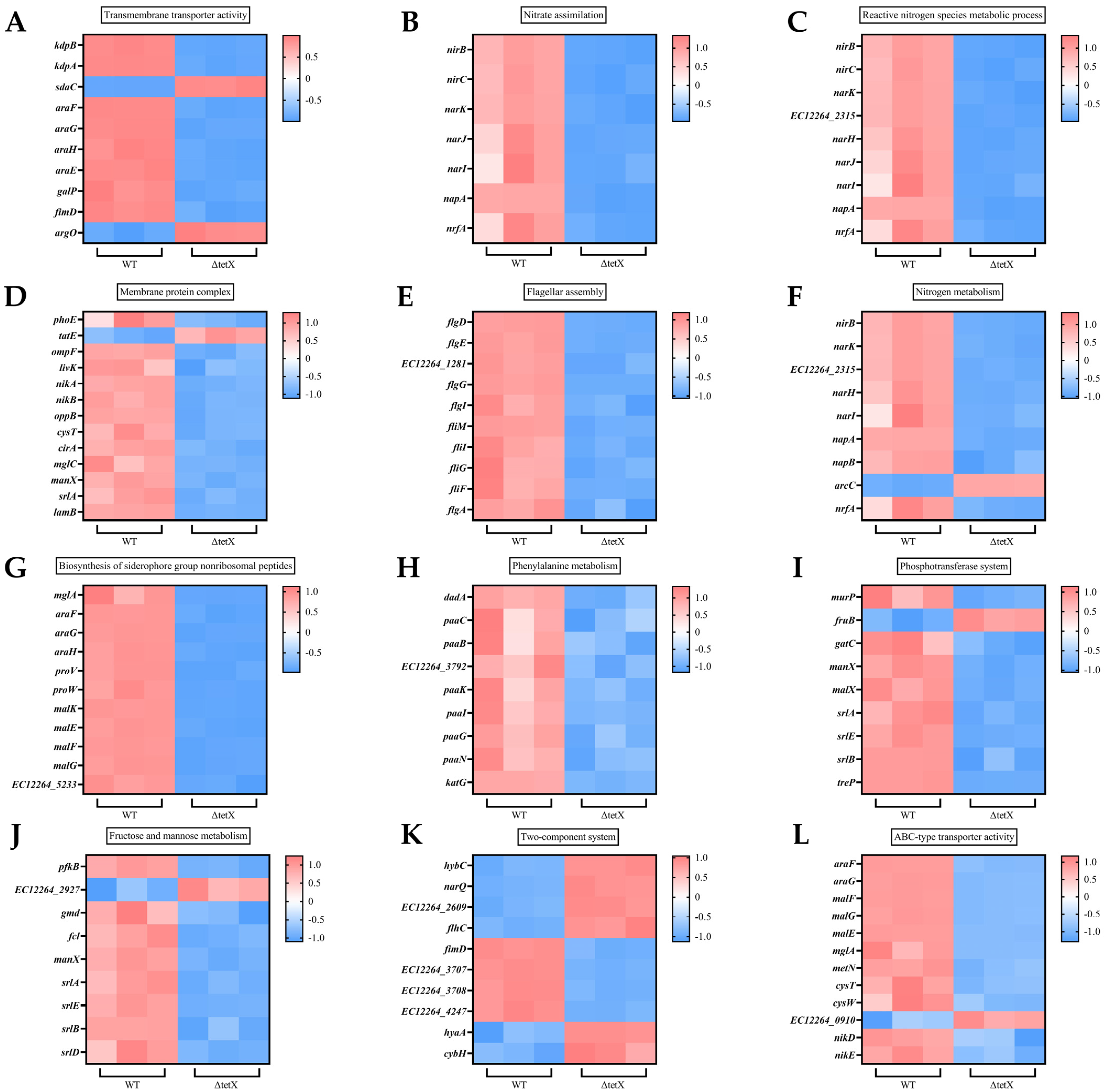 Animals 15 03564 g008