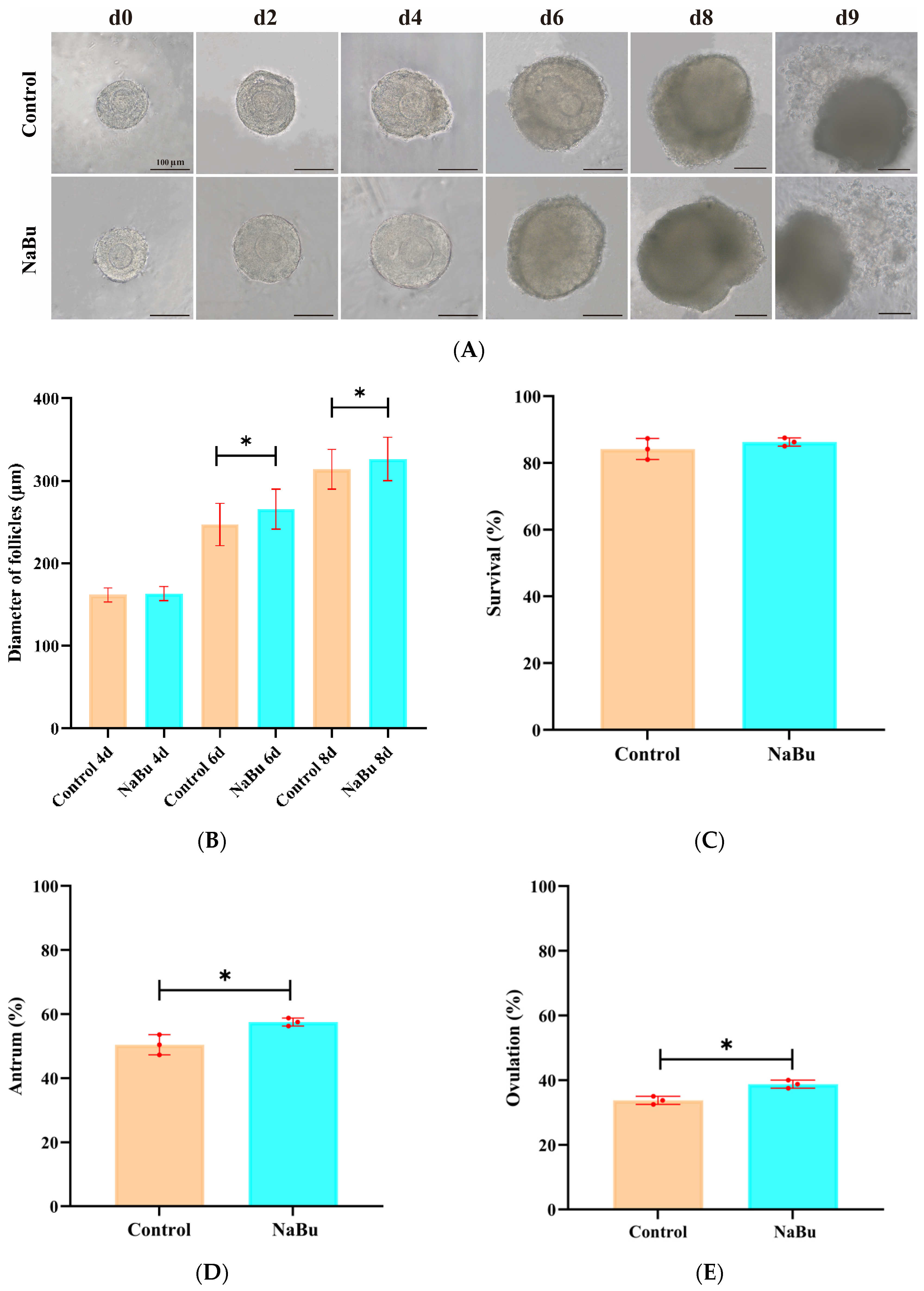 Animals 15 03567 g003 Animals 15 03567 g003