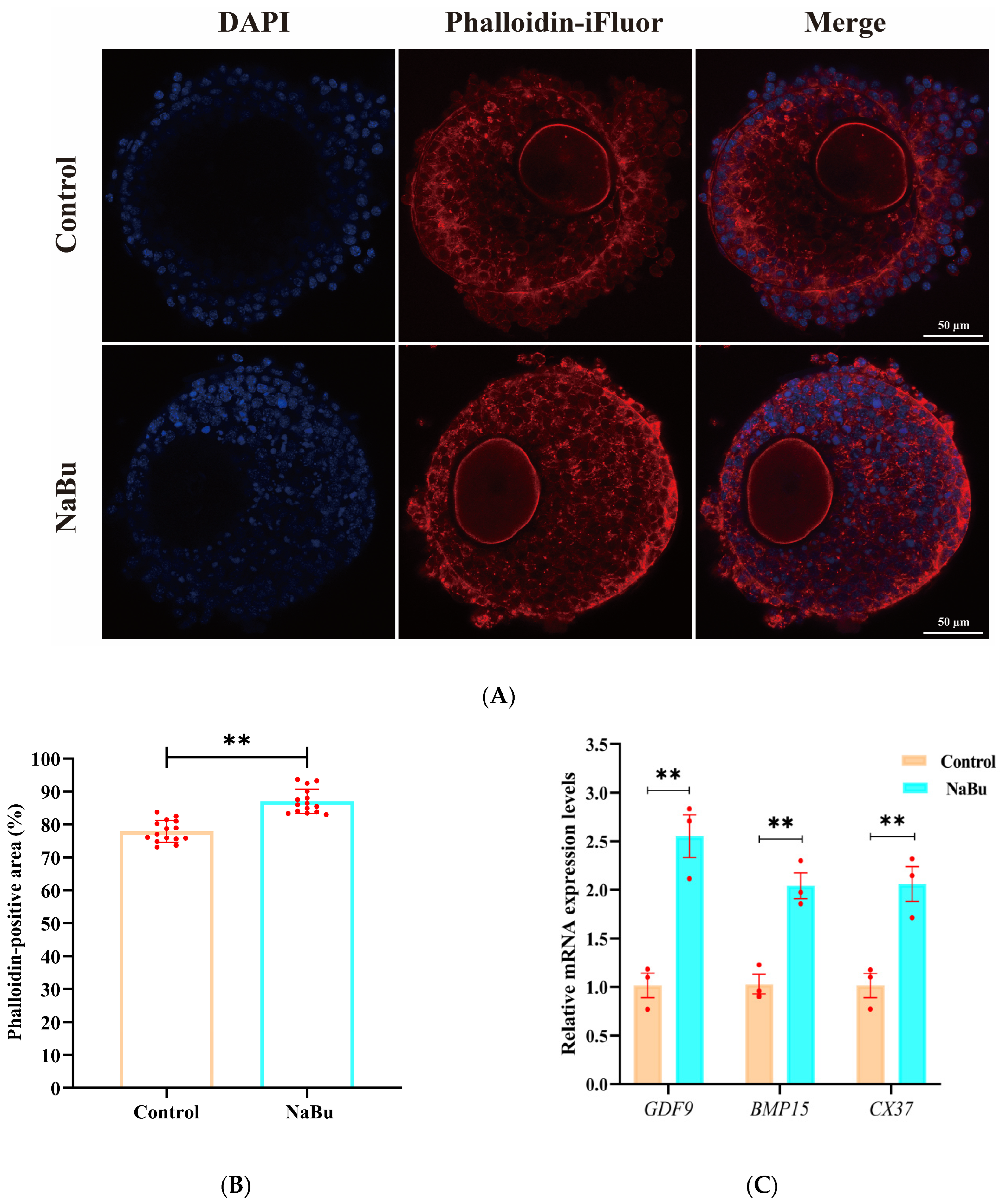 Animals 15 03567 g006 Animals 15 03567 g006