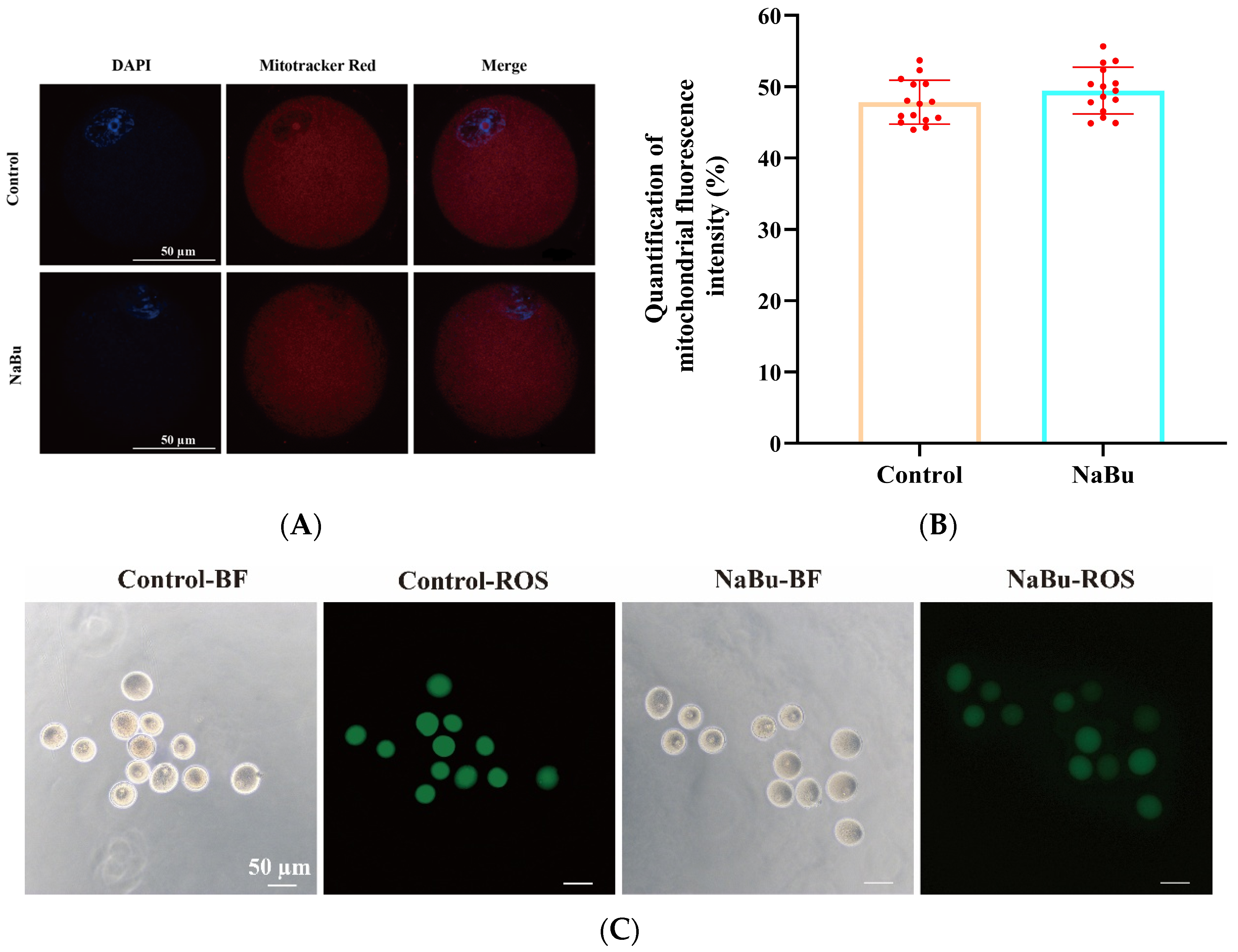 Animals 15 03567 g008a Animals 15 03567 g008a