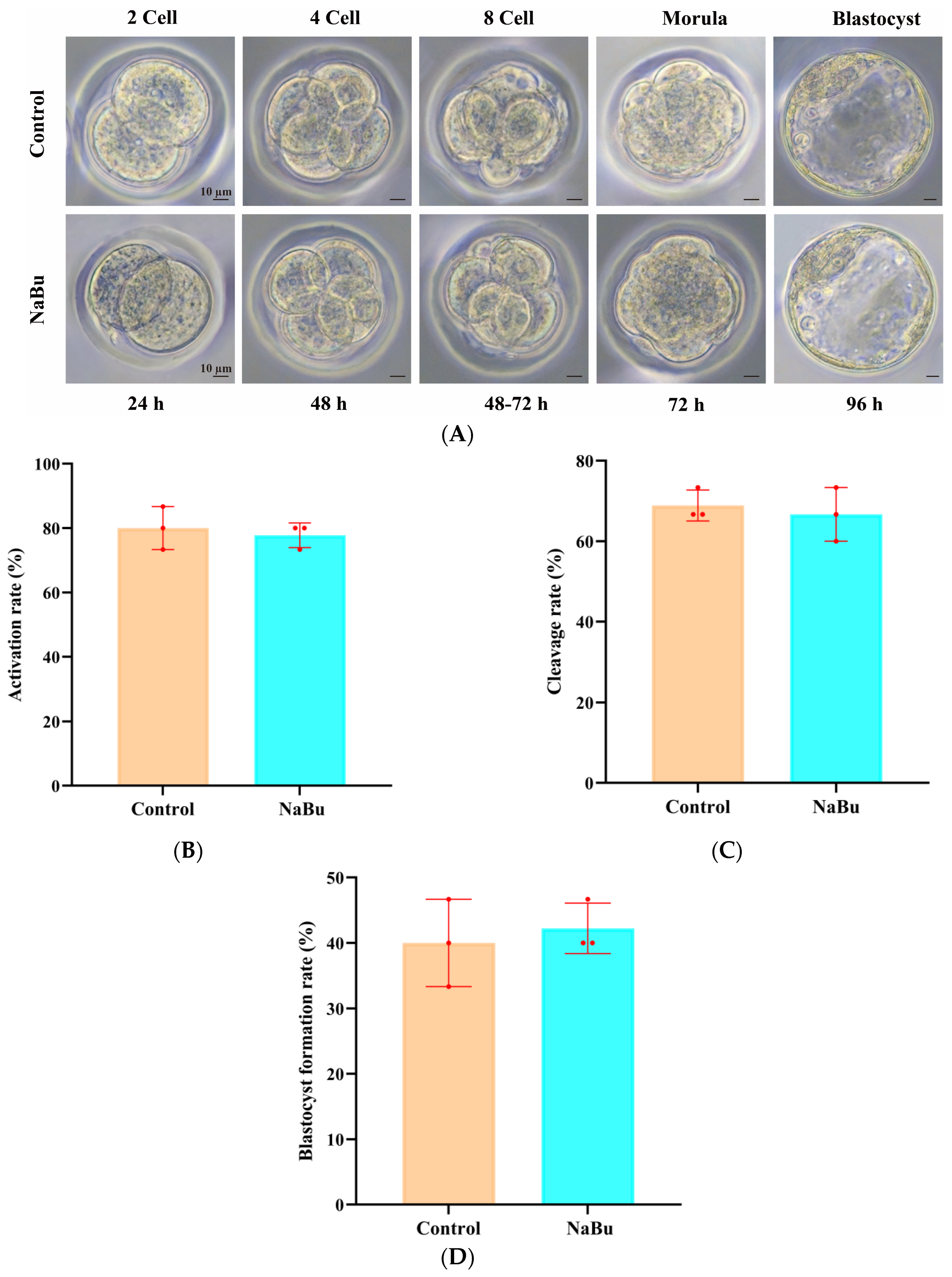 Animals 15 03567 g009 Animals 15 03567 g009