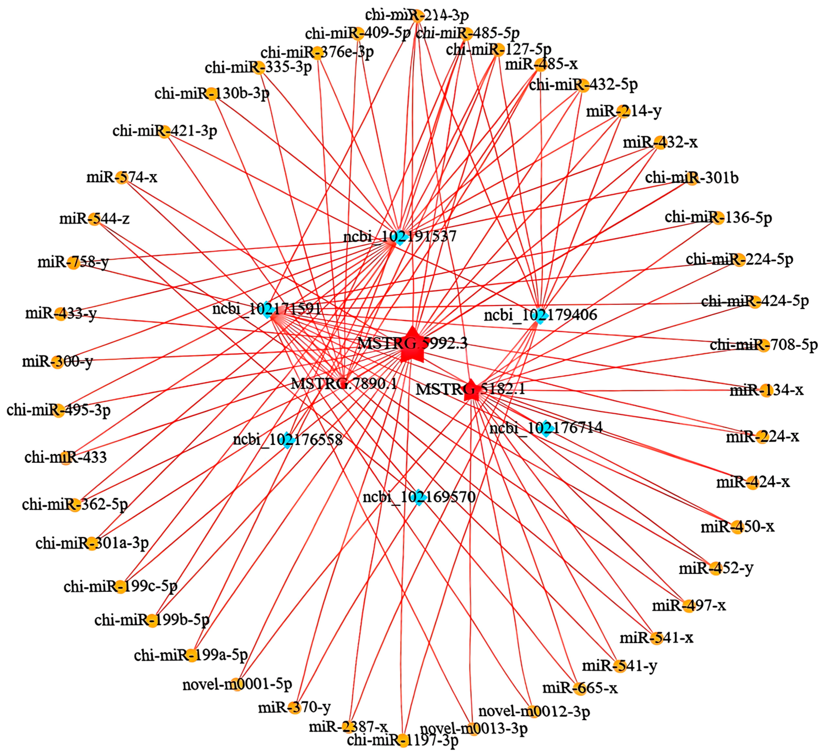 Animals 15 03568 g004 Animals 15 03568 g004