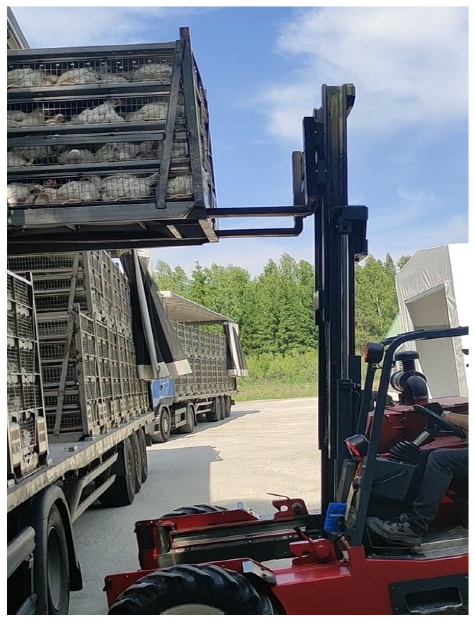 Animals 15 03572 g001 Animals 15 03572 g001