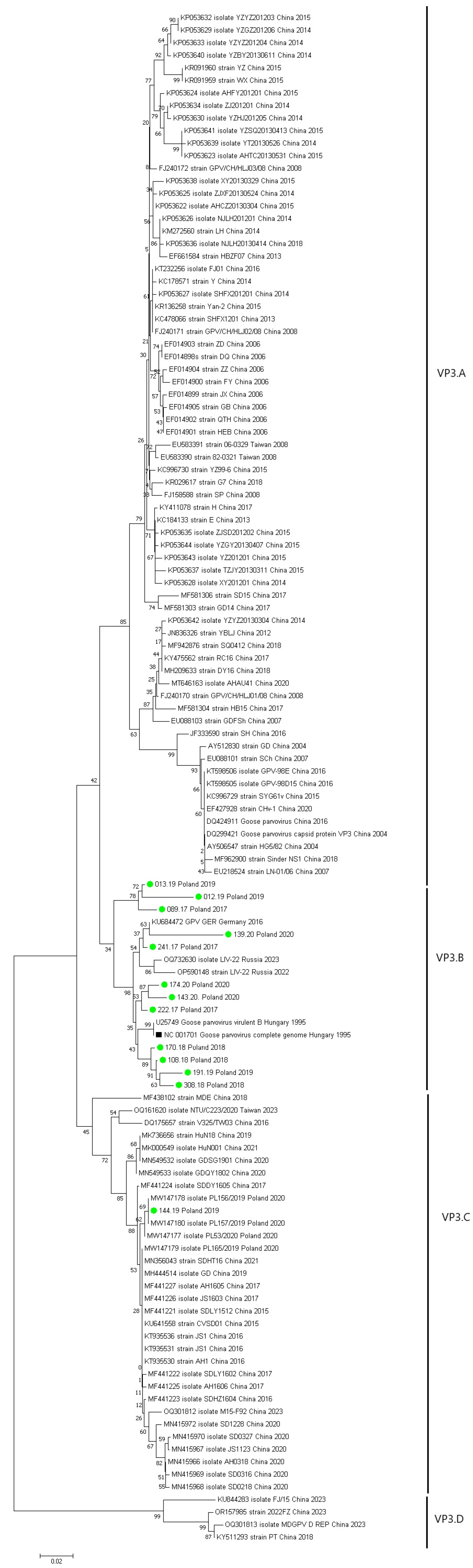 Animals 15 03572 g004 Animals 15 03572 g004