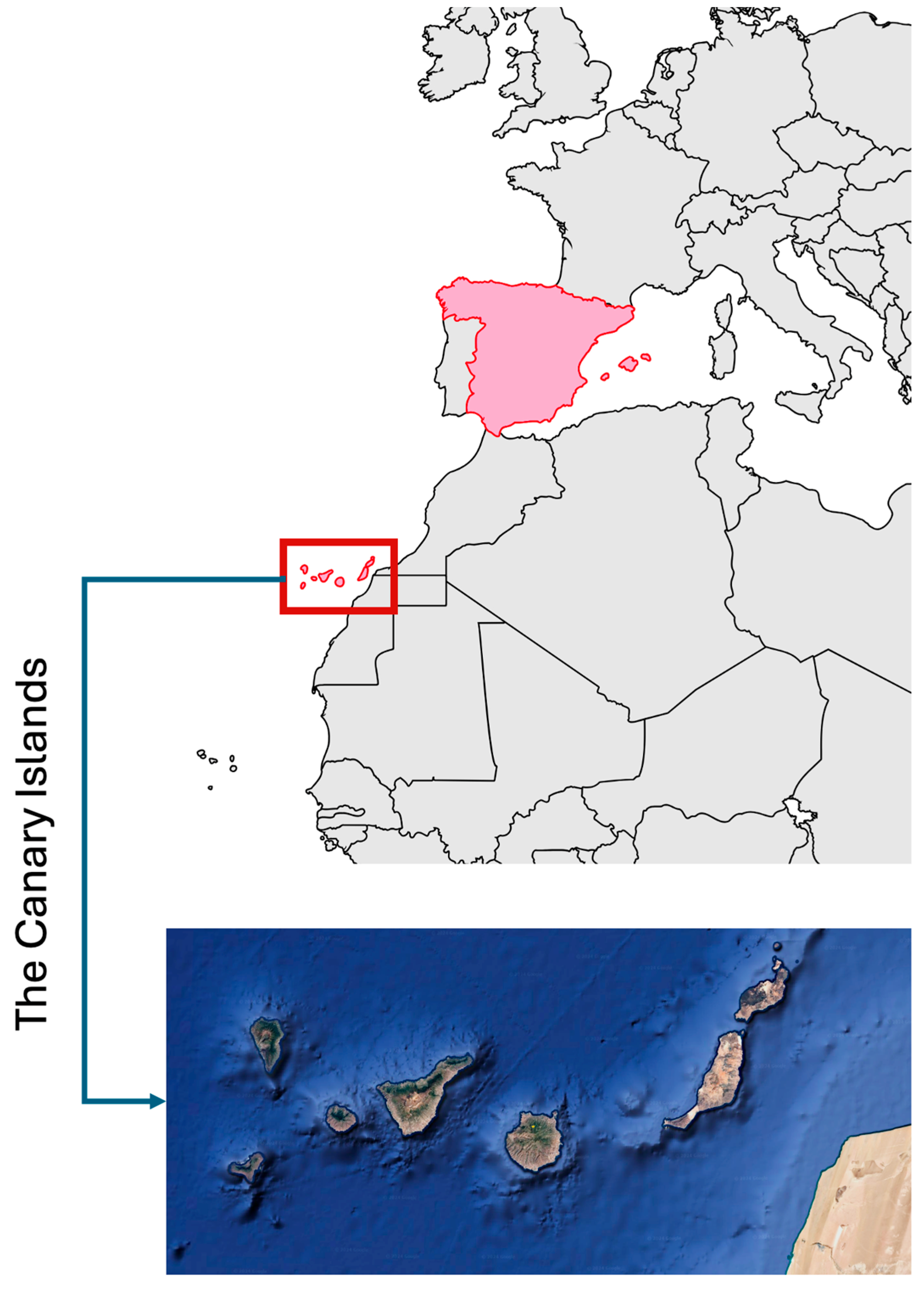 Animals 15 03576 g001