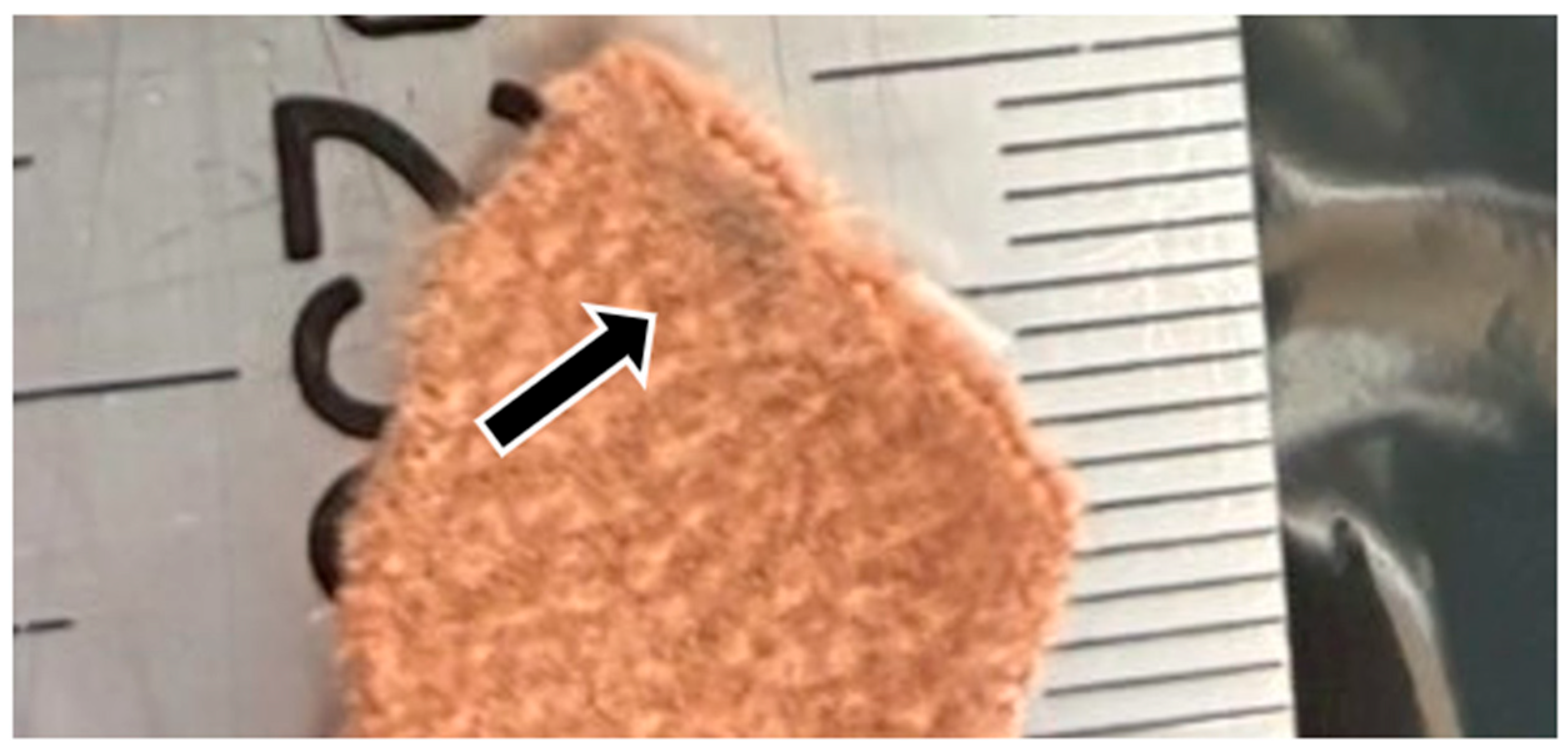 Animals 15 03587 g002