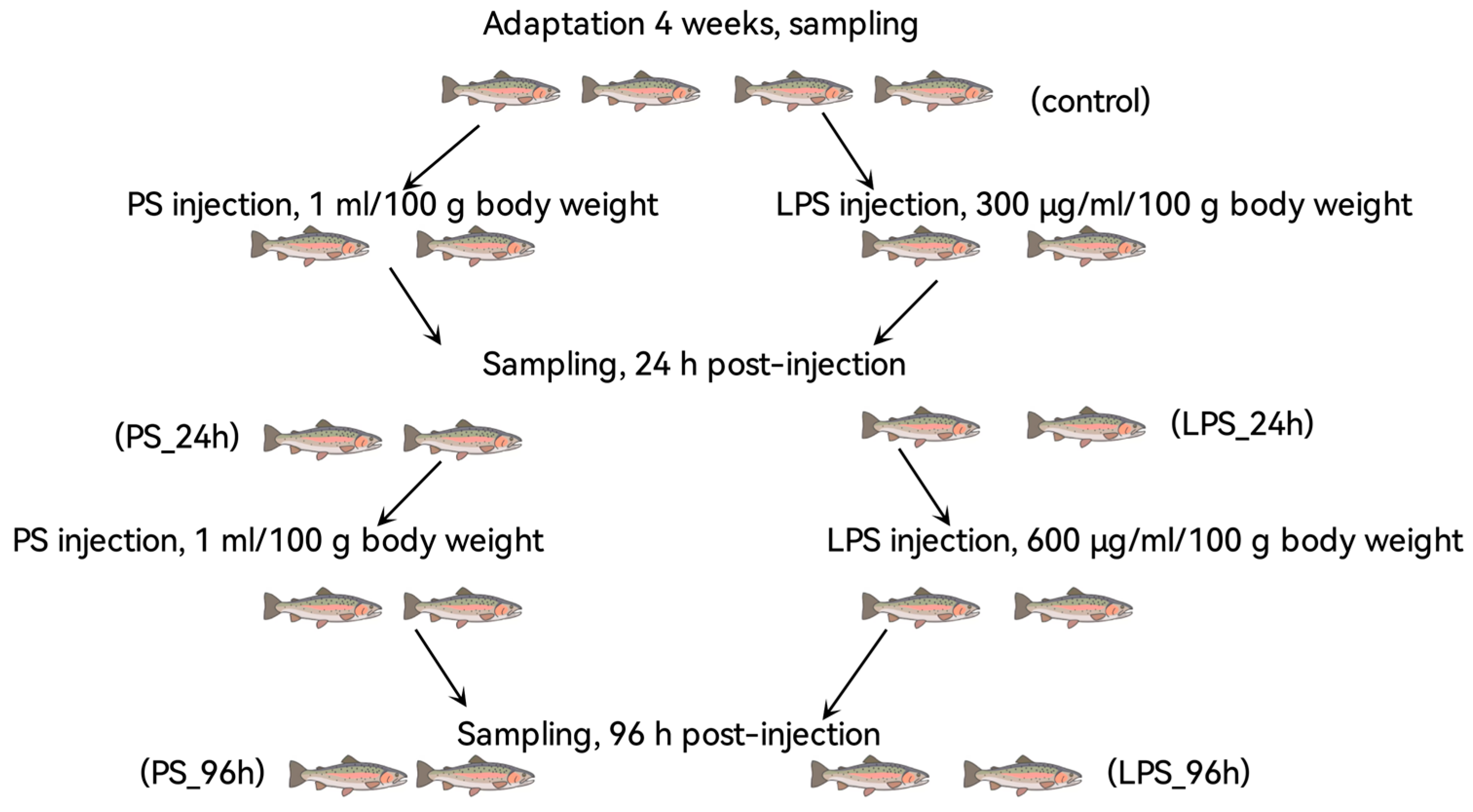 Animals 15 03589 g001 Animals 15 03589 g001