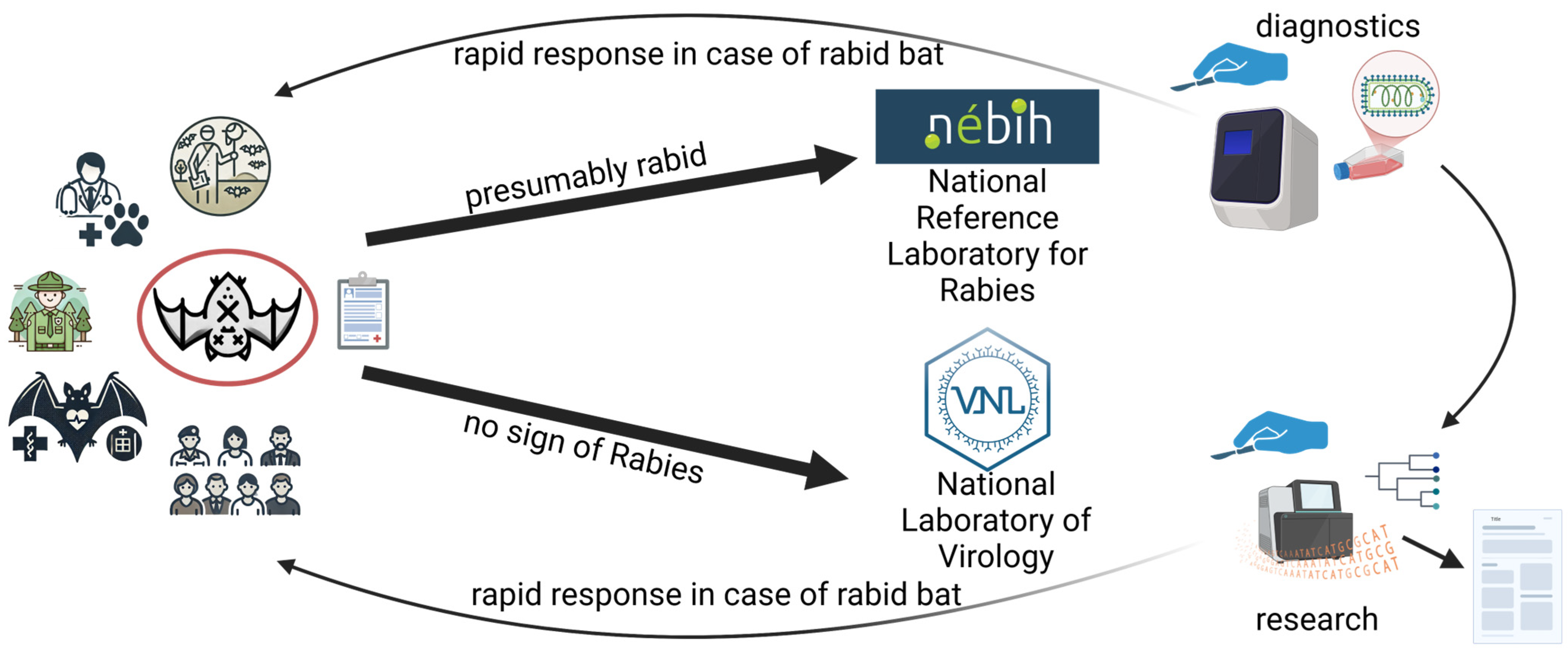 Animals 15 03590 g001 Animals 15 03590 g001