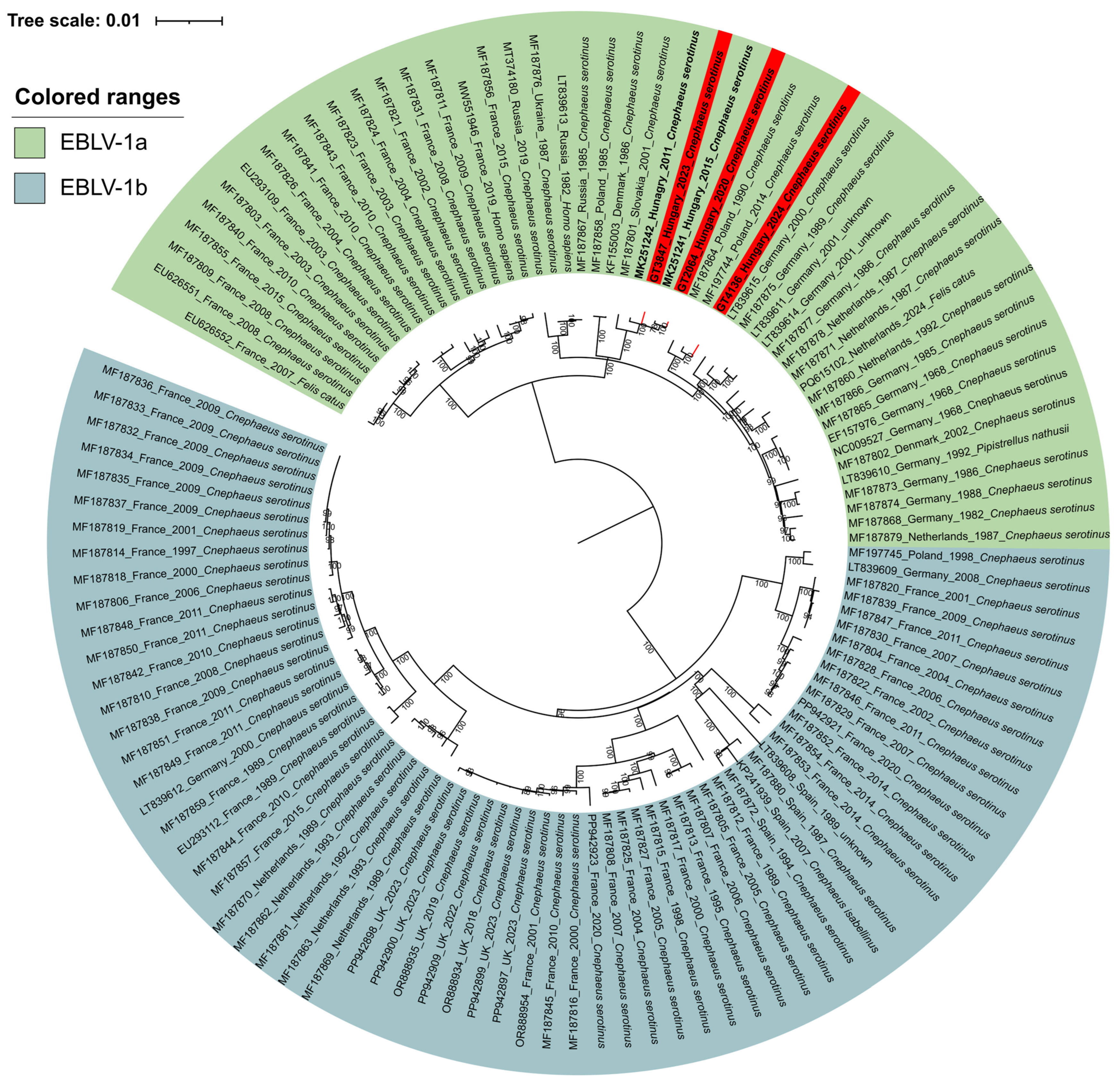 Animals 15 03590 g002 Animals 15 03590 g002