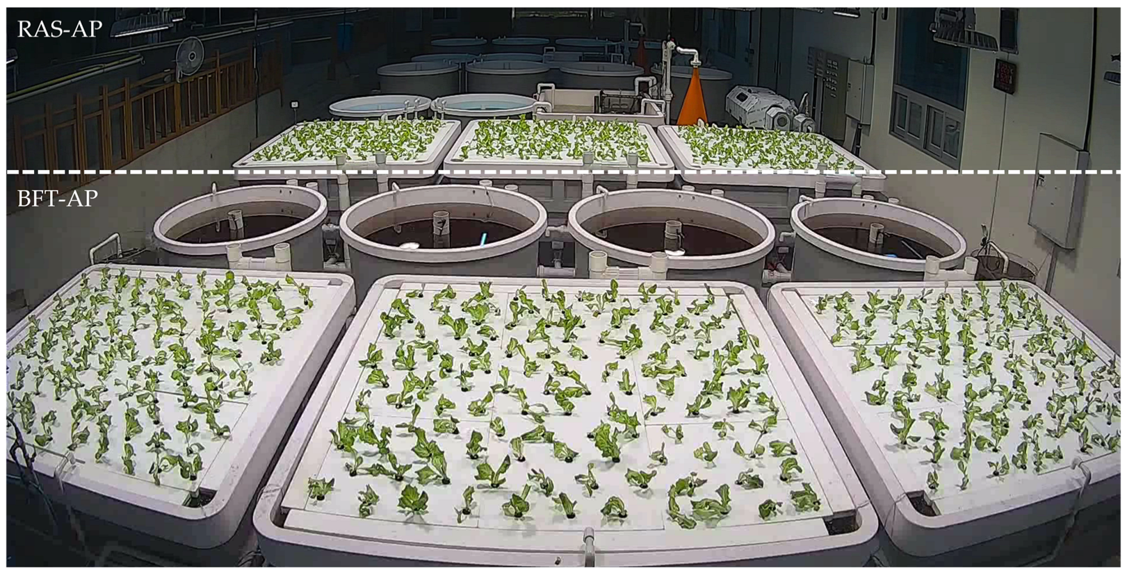 Animals 15 03591 g001