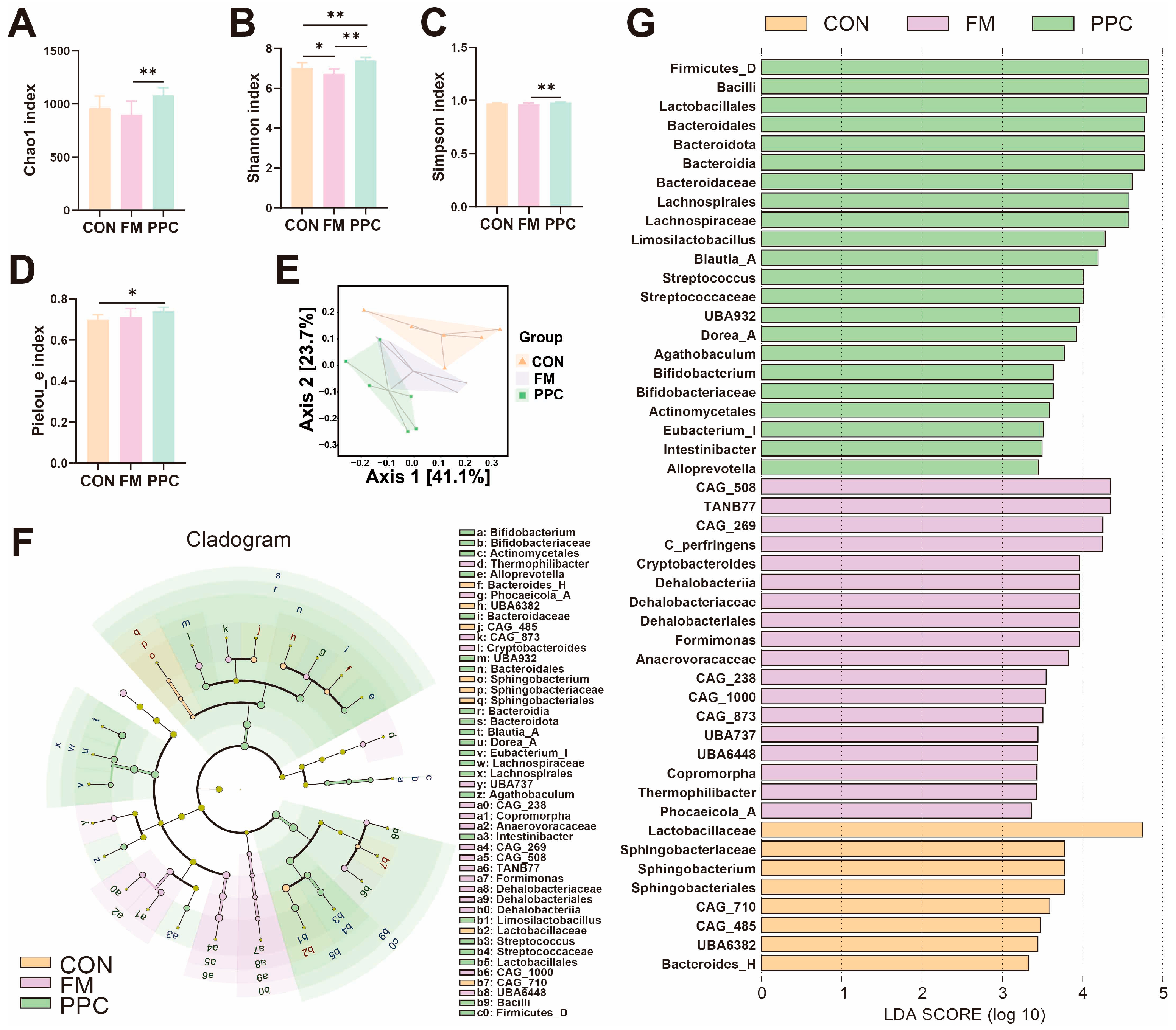 Animals 15 03600 g001 Animals 15 03600 g001