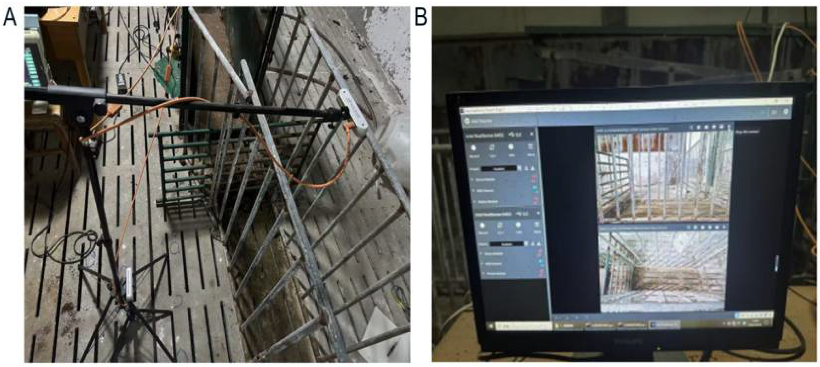 Animals 15 03601 g002 Animals 15 03601 g002